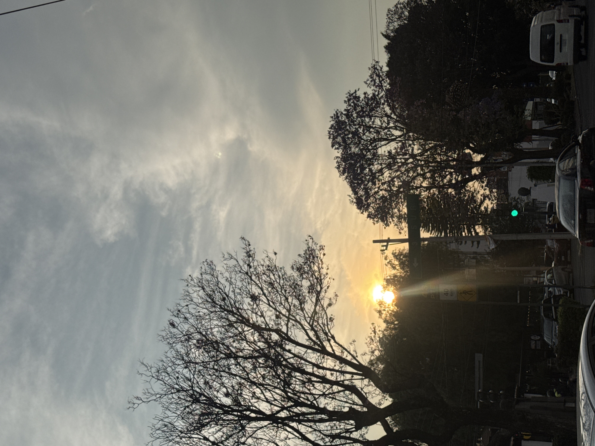 The image shows a street scene in Puebla, Mexico, at dusk or dawn. The sun is low on the horizon, creating a bright glow between the trees and buildings. Two trees are prominent, one with bare branches and one with green leaves. Cars are parked along the side of the street, and a white van is visible in the background. A traffic light is green. The sky is a mix of light blue and gray, with wispy clouds.