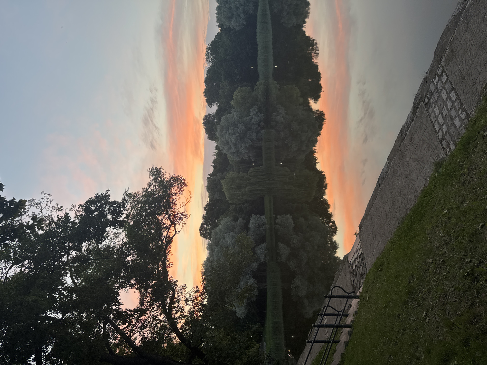 The image depicts a serene lakeside scene at dusk in Niasvizh, Belarus. The sky above displays a gradient of soft pink and orange hues, characteristic of a sunset, with scattered wispy clouds. A large tree with dark green foliage dominates the left side of the frame, its branches reaching towards the sky. Across the water, a dense line of trees forms a dark silhouette against the horizon, with taller trees and a weeping willow visible among them. The calm water of the lake acts as a mirror, reflecting the colors of the sky and the surrounding trees, creating a symmetrical and tranquil ambiance. The foreground features a grassy slope leading down to a paved pathway alongside the lake. A black metal railing runs along the edge of the pathway and down a short set of stairs, suggesting a public park or waterfront area. The paved path is made of interlocking square stones. There are no people or animals visible in the image.