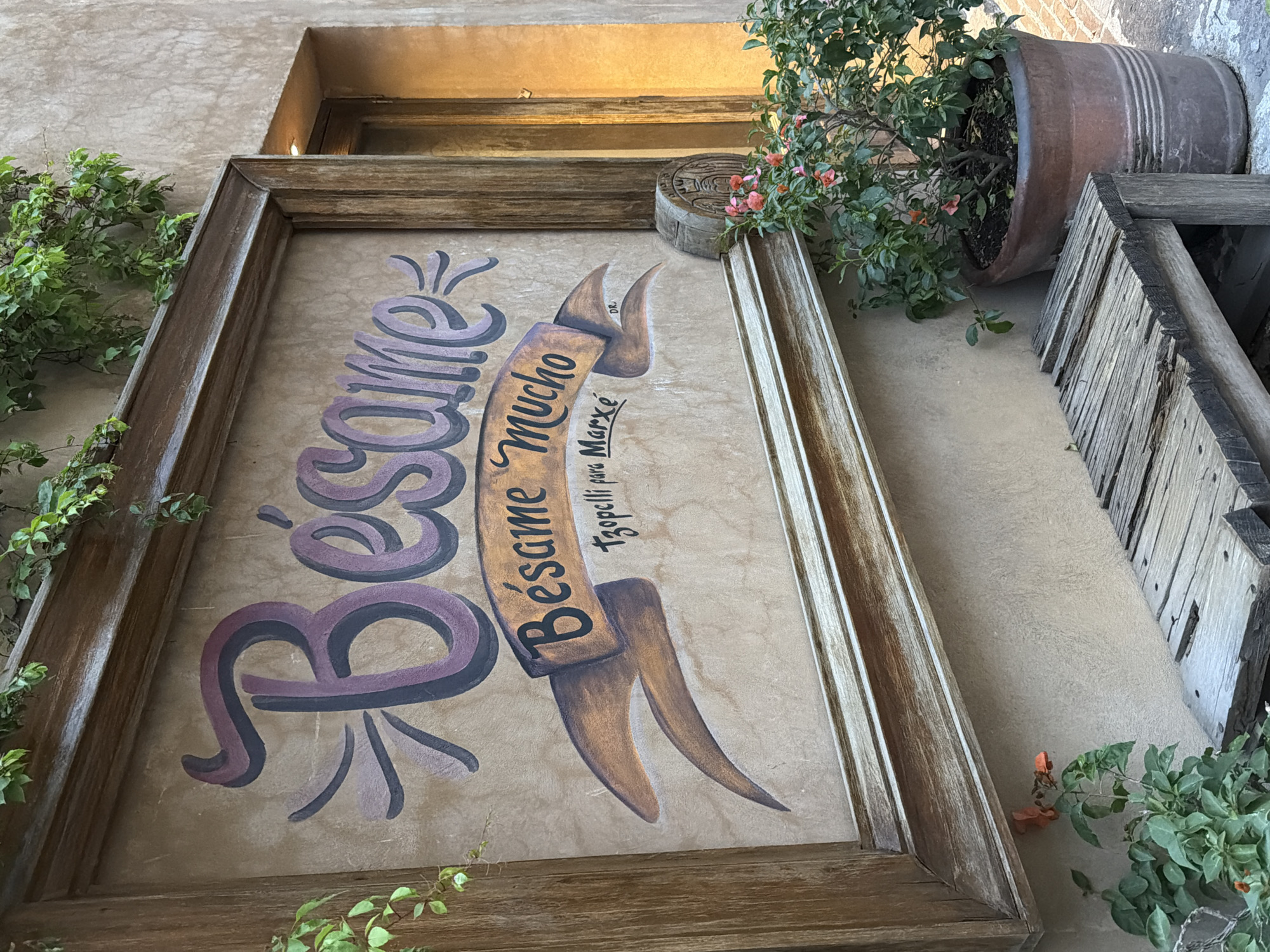A framed sign with the words "Bésame Mucho" in stylized text is mounted on a textured wall in Domingo Arenas, Mexico. The sign is in a wooden frame and features a design with decorative flourishes. Beside the sign, a clay pot containing a plant with green foliage and small red flowers sits on the wall. Below the pot is a small wooden structure with a slated design. Green vines are growing along the wall near the sign, partially obscuring the frame. Above the sign is a ledge or window opening.