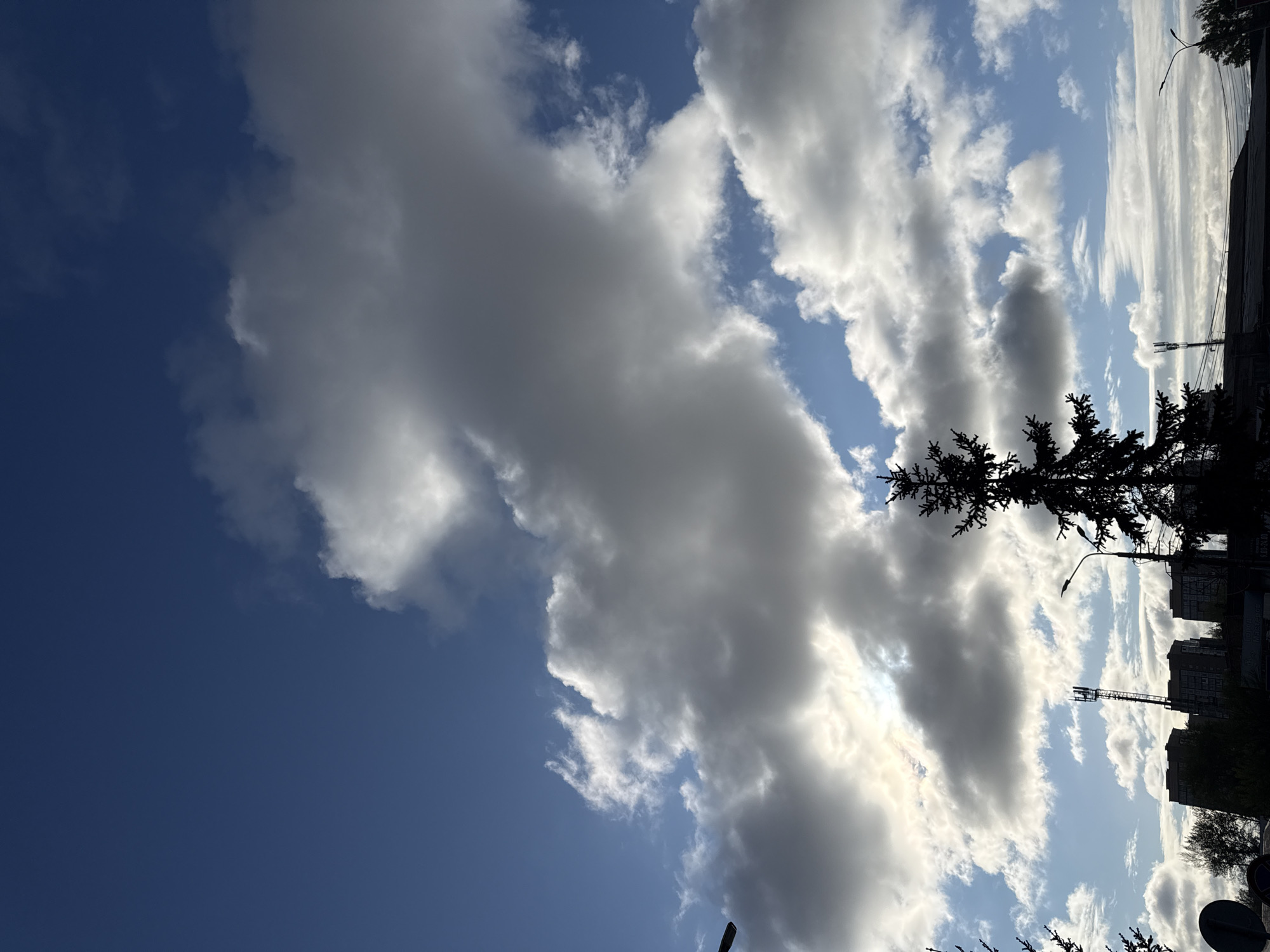 The image depicts a sky filled with cumulus clouds, ranging from dark gray to bright white, against a backdrop of blue sky. In the lower right portion of the image, there are silhouettes of trees, buildings, and street lights, suggesting an urban environment. Based on the streetlights, the presence of the towers and buildings, and the types of trees, the location appears to be a residential or mixed-use area within a city. The sky is mostly unobstructed, giving a clear view of the cloud formations, suggesting an open space or a wide street. While specific details about Krasnoyarsk are not discernible from the image alone, the architectural style of the buildings in silhouette and the typical urban landscape features, like streetlights and vegetation, are consistent with the urban environment of the city.