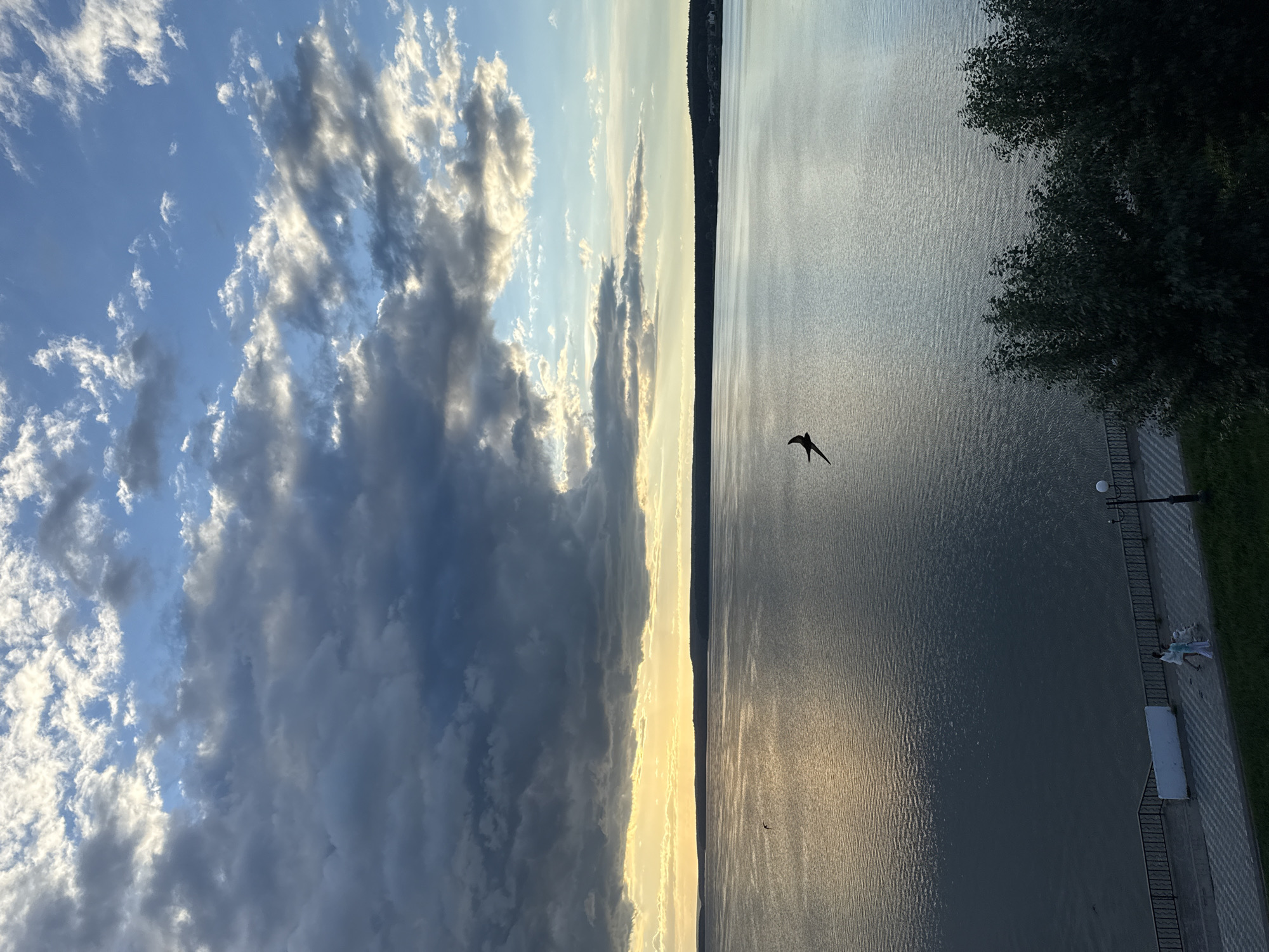 The image depicts a panoramic view of the Votkinsk Reservoir in Votkinsk, Russia, during a sunset. The sky is dramatic, filled with a mix of dark, stormy clouds and bright patches of blue and sunlight. A single bird is captured in mid-flight over the water. The reservoir itself appears calm, reflecting the colors of the sky. In the foreground, a paved promenade runs alongside the water, with a railing and a few trees. Two individuals are walking on the promenade. The overall impression is one of natural beauty and a serene evening setting.