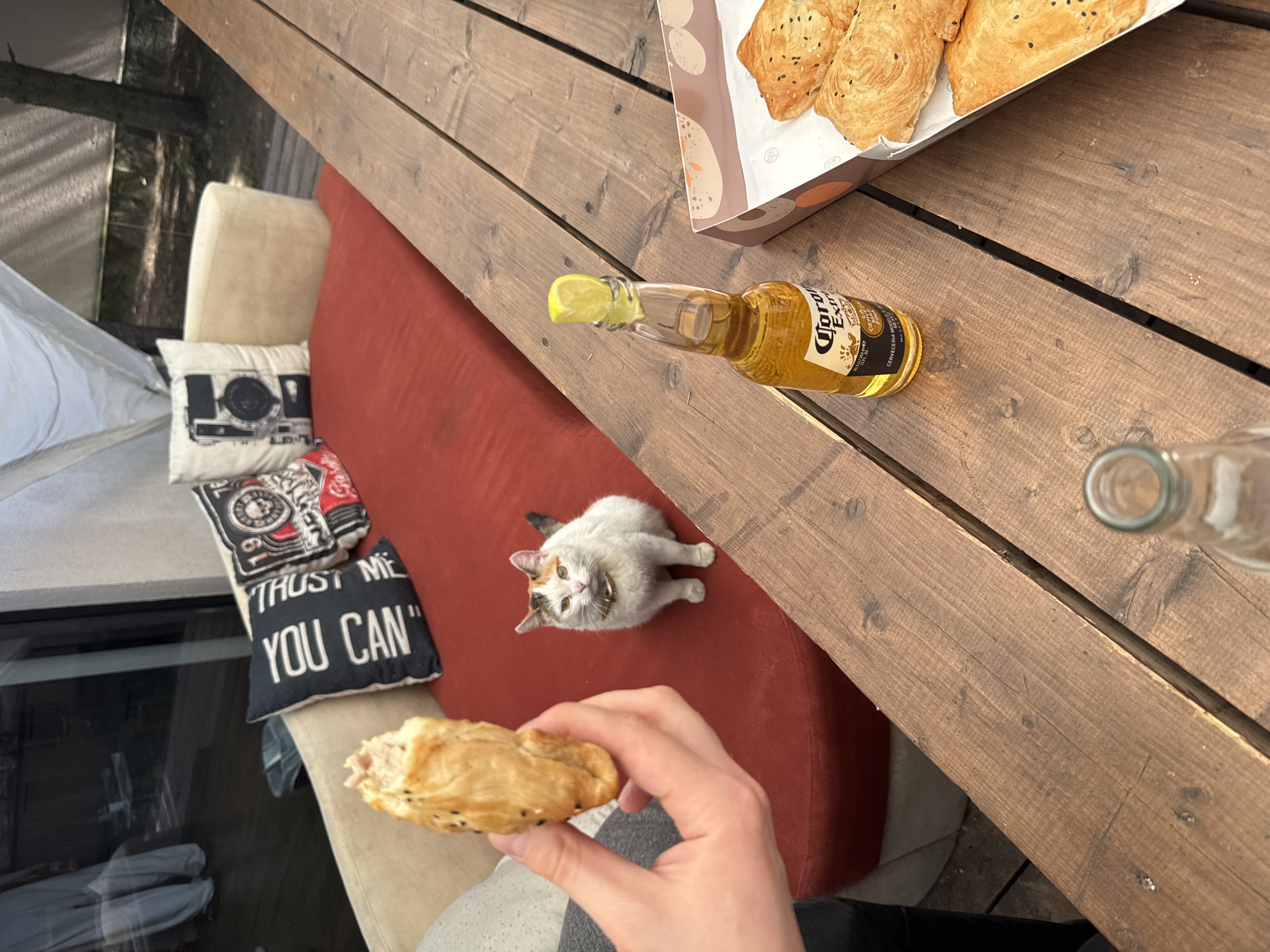 The image shows a top-down view of an outdoor scene, likely a patio or deck. The location is Znamenskoe, Russia, indicated by the presence of samsas in the cardboard box. A wooden table dominates the scene, with a box of samsas, a bottle of Corona beer with a lime wedge, and an empty bottle on it. A person is holding a samsa. A cat with white fur and colored spots is looking up. A red couch sits to the left of the table, with pillows on it. A white tent is partially visible in the background.