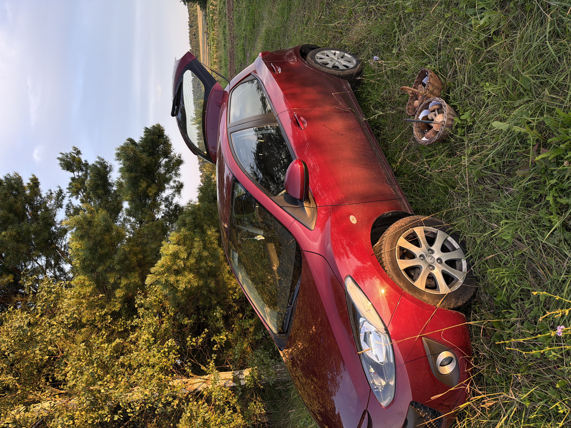 In Bol'shie Kurashki, Russia, a red hatchback car is parked on a grassy area beside a field under a partly cloudy sky. The car's trunk is open. In front of the car, two wicker baskets are placed on the grass, one containing mushrooms and the other seemingly empty or holding a few items. The car's exterior is dusty, and the surrounding environment features trees and vegetation, with sunlight casting a warm glow.