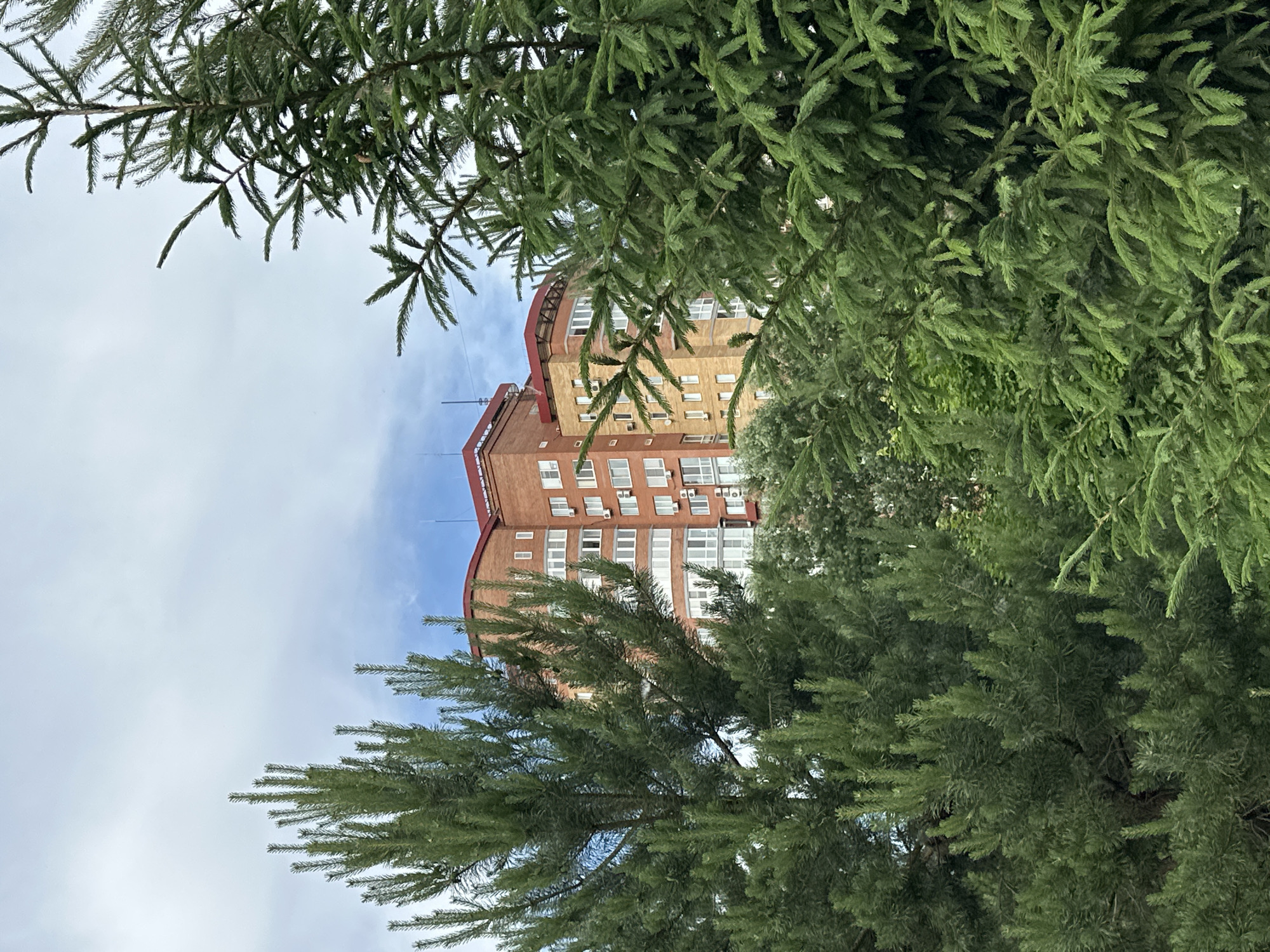 The image, oriented on its side, presents an outdoor scene featuring a multi-story building partially obscured by dense evergreen trees.
In the foreground, thick, dark green coniferous branches, likely from spruce or fir trees, frame the top and bottom edges of the photograph. Their needles are clearly visible, creating a textured, natural border that dominates the immediate view.
Through the gaps in this foliage, a prominent brick building occupies the central portion of the image. It is several stories high, constructed from light brown or beige brick, and features a distinctive curved section on its upper floors, topped with a reddish-brown roof. Numerous rectangular windows with white frames are visible across its facade, and several external air conditioning units are mounted below some of these windows.
The sky, appearing mostly bright with patches of light blue and white clouds, is visible in the background, especially on the left and right sides of the image (corresponding to the top and bottom if the image were reoriented). The lighting suggests it is daytime.
No people are visible, and no specific activity is taking place; the scene is static. There is no discernible text within the image. The setting suggests an urban or suburban environment, balancing natural elements with architectural structures. This scene is located in Omsk, Russia.