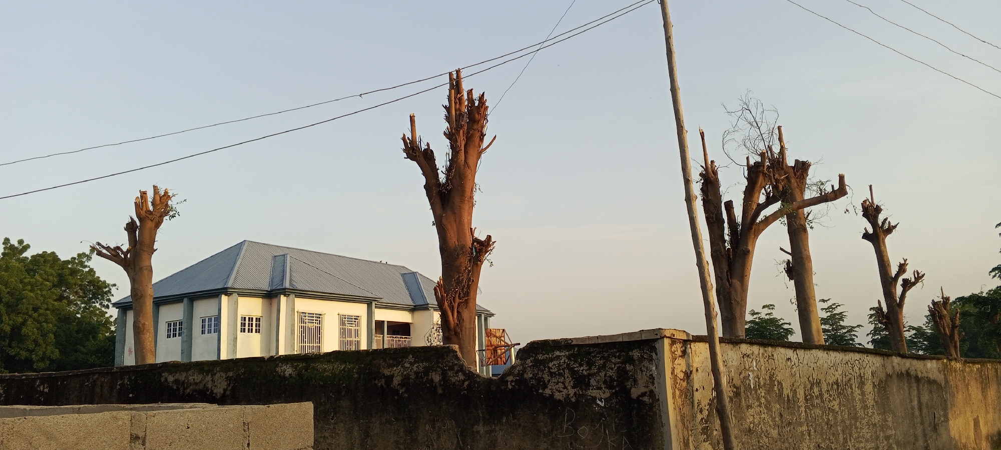 This is an exterior, eye-level, medium shot of a residential building and several trees in Jalingo, Nigeria. The building is a two-story, white structure with a grey, corrugated metal roof. It has several windows with white frames and metal bars. In front of the building is a grey, concrete wall with a mossy, textured surface, and graffiti. Several trees with bare branches, some showing regrowth, are visible in front of and beside the building. A power line runs horizontally across the sky. The sky is clear and pale blue, suggesting it is either early morning or late afternoon. The scene appears to be a quiet, residential area.