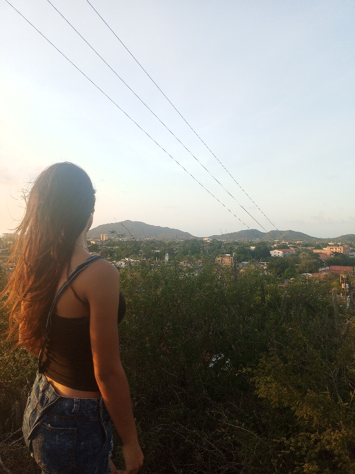 A woman stands on a hill overlooking a city at sunset. She wears a black top and denim overalls. Her long, dark hair flows down her back. Three power lines stretch across the sky. Below, the city is a mix of buildings and green trees, with mountains in the distance. The foreground consists of dense green vegetation. The sky is a soft blend of pale blues, pinks, and yellows.