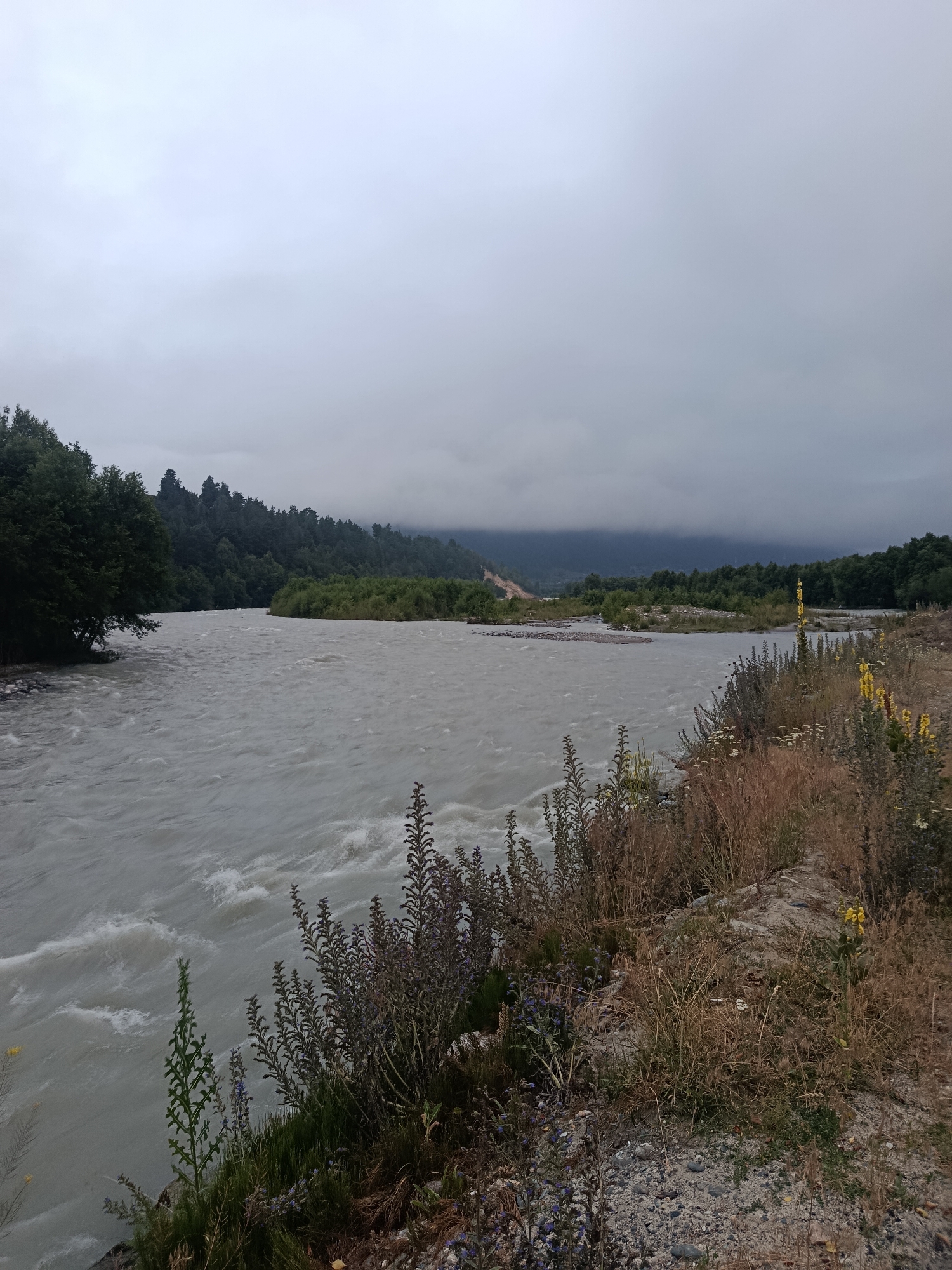 This media file depicts a wide, grey river flowing through a valley under an overcast sky. The river is turbulent with visible ripples and waves, suggesting a strong current. On the left bank, a dense forest of dark green trees covers a hillside, with some trees extending down to the river's edge. The right bank of the river is characterized by a more rugged, uncultivated terrain with dry grasses, some small bushes with purple flowers, and a few tall plants with yellow flowers. The foreground on the right is a mix of gravel, dirt, and vegetation.
In the distance, more trees and vegetation line the riverbanks, and a hazy mountain range or distant hills can be seen under the thick cloud cover. The overall atmosphere is muted and somewhat somber due to the grey sky and the dominant grey-blue tones of the water and landscape. The scene appears to be a natural, undeveloped area, likely a remote location given the wild vegetation. The time of day is likely daytime, given the general illumination, but the cloudy conditions obscure any direct sunlight. There is no visible text in the image. The location is identified as Teberda, Russia, which fits the description of a mountainous, forested region with rivers.