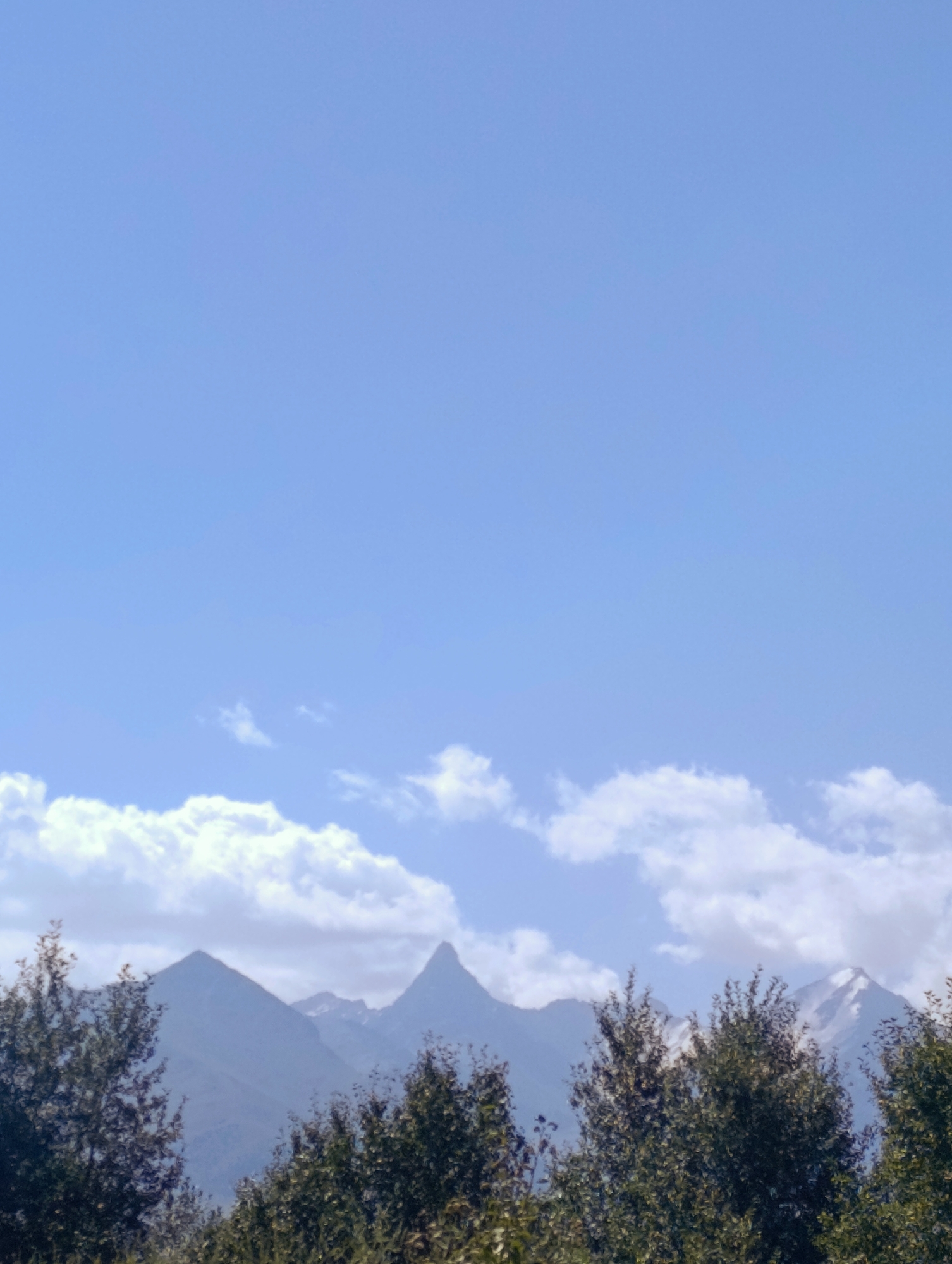 A bright blue sky dominates the upper portion of the image, with a few wispy white clouds scattered across it. In the middle ground, a range of jagged, blue-hued mountains forms a prominent backdrop. The peaks are sharp and distinct, with some showing hints of snow on their upper reaches. In the foreground, the dense, dark green foliage of trees partially obscures the lower parts of the mountains. The trees appear to be deciduous, with a thick canopy of leaves. The scene is likely set in a natural, outdoor environment, possibly in a mountainous region. The lighting suggests a clear, sunny day.