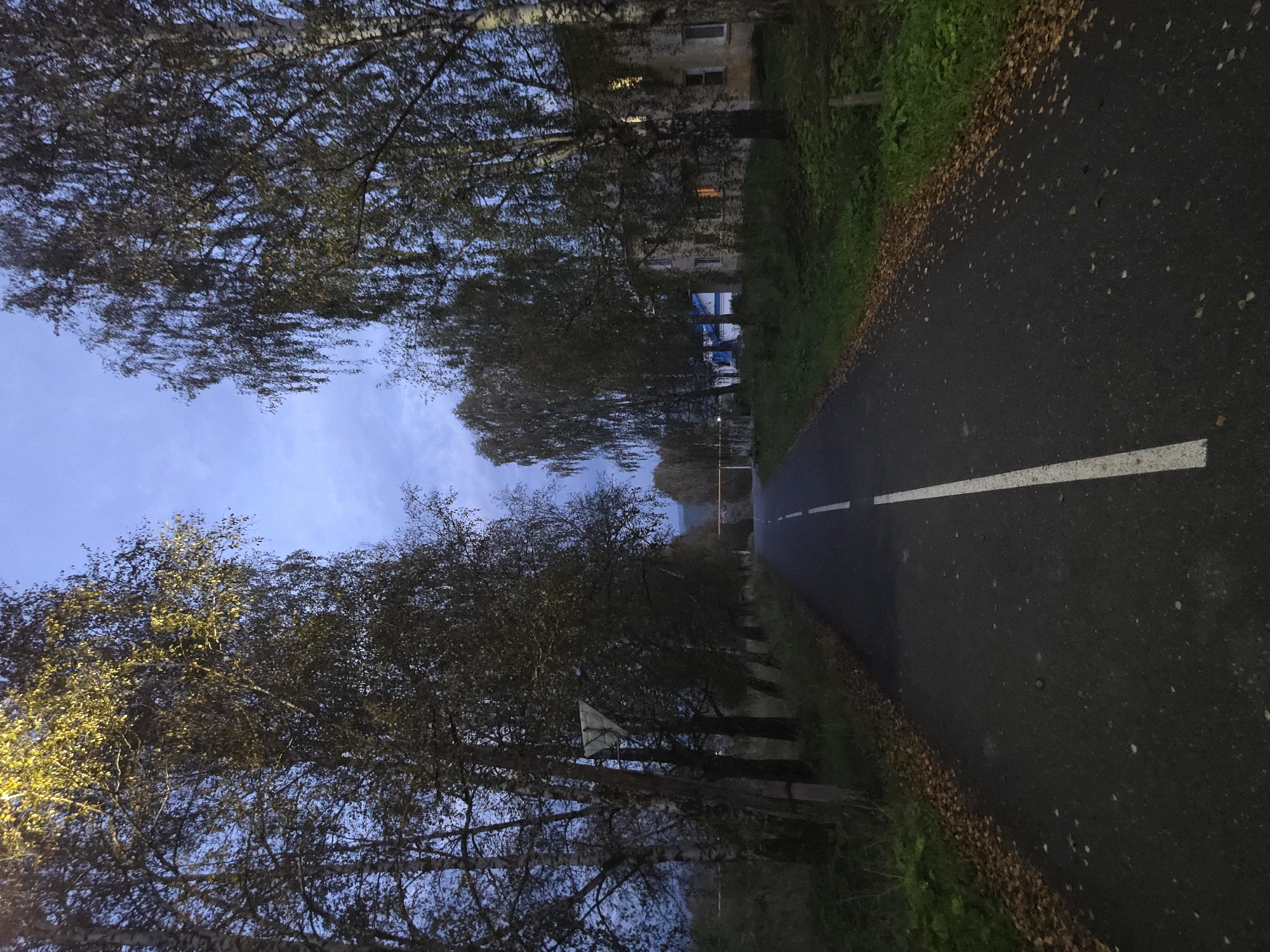 The image depicts a paved road lined with birch trees, suggesting an autumnal setting. The sky is a deep blue, indicating twilight or early evening. A white dashed line divides the road, and a triangular signpost is visible on the left side. Buildings with illuminated windows can be seen in the distance on the right. The overall scene suggests a rural or suburban environment within the city of Magnitka, Russia.