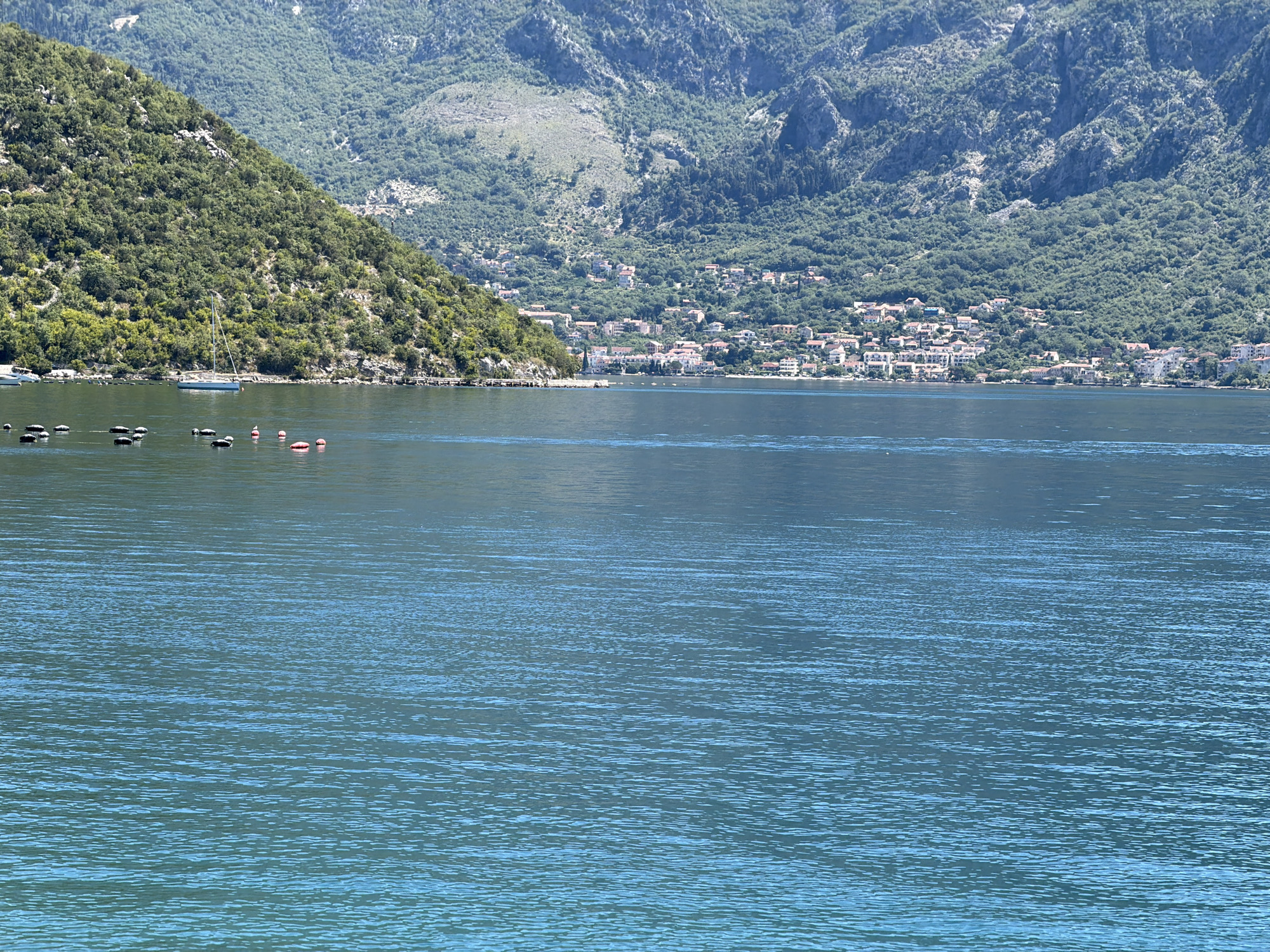 This is a wide shot of the Bay of Kotor near Lipci, Montenegro, taken on a sunny day. The foreground is dominated by calm, blue water, with some ripples creating texture. In the middle ground, a small cluster of buoys or markers are visible, some red and some black. A single white sailboat with a mast is moored in the water. Along the shoreline, a small town with buildings featuring red-tiled roofs is nestled at the base of a steep, densely forested mountain. The mountain slopes rise dramatically behind the town, with patches of bare rock visible. The sky is bright and clear.