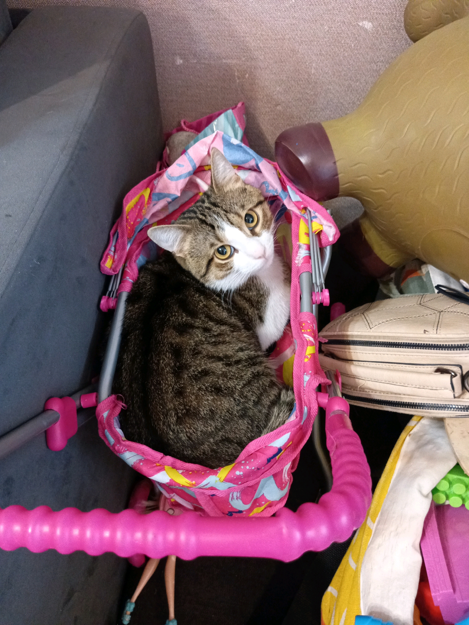 A tabby cat with white markings and yellow eyes is curled up inside a pink and blue doll stroller. The stroller has a colorful fabric liner with a pattern that appears to include unicorns and hearts. The stroller is surrounded by various objects, including a cream-colored zippered bag, a tan toy, and what appears to be a doll with pink hair and blue shoes. The background consists of a gray upholstered surface, likely a couch, and a textured, possibly carpeted, floor. The lighting suggests an indoor environment.