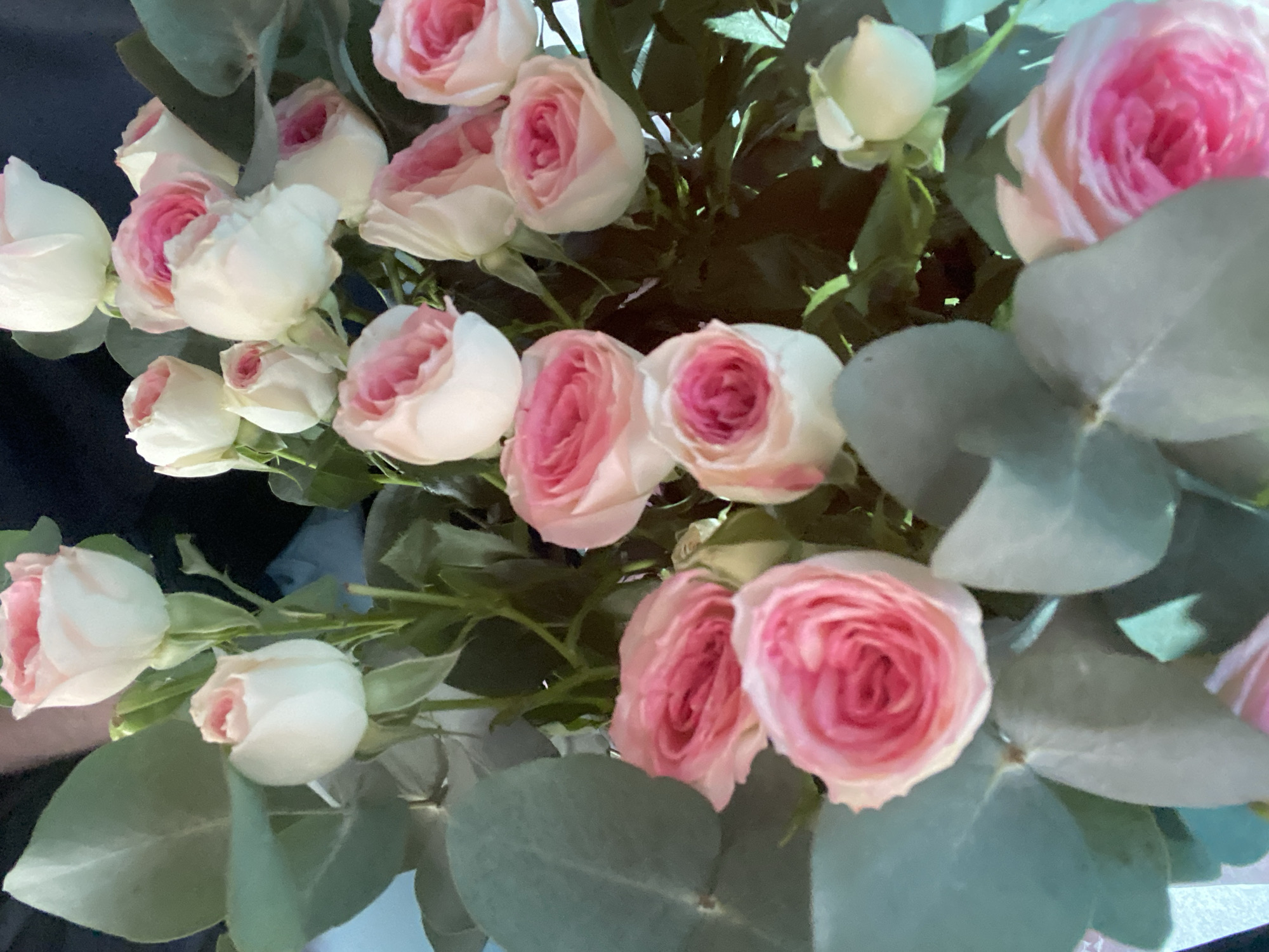 A bouquet of light pink roses and eucalyptus leaves is presented against a dark background. The roses are tightly budded and in various stages of bloom, with some showing more of their pink centers. The eucalyptus leaves are a muted green and provide a soft contrast to the delicate petals of the roses. The lighting is soft, highlighting the textures of the flowers and foliage. The scene appears to be indoors, with a hint of a blue surface at the bottom left suggesting a table or vase. There are no people or specific locations visible within the frame. The image does not contain any information about Pavlodar, Kazakhstan.