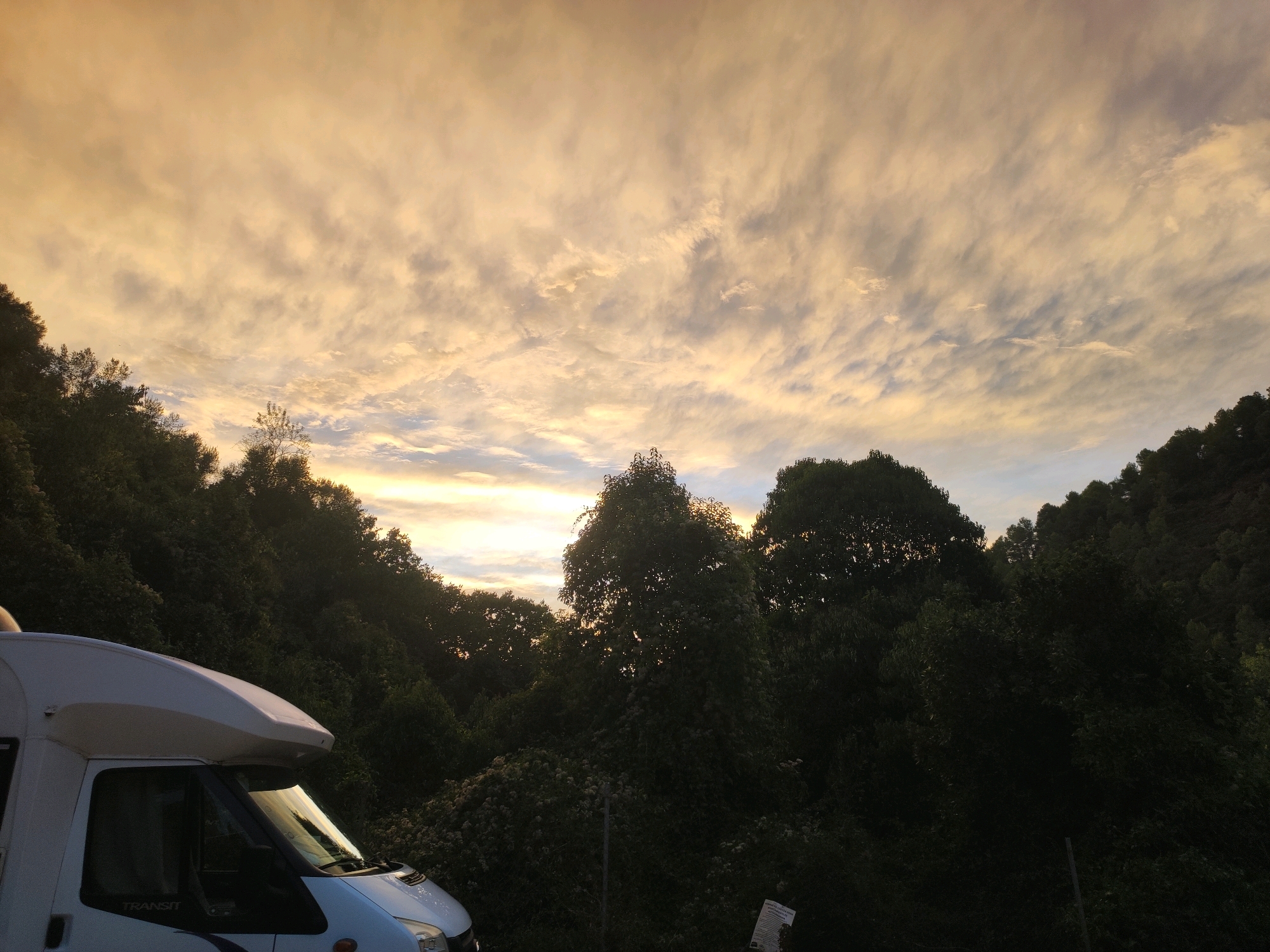 The image shows a white camper van parked in front of a dense forest on a hillside, likely in Suera, Spain. The sky above is filled with dramatic, golden-orange clouds, suggesting either sunrise or sunset. The camper van is a Ford Transit model, visible from the front left side. The forest is characterized by a variety of lush green trees and foliage, with some flowering bushes visible in the lower right portion of the frame. The overall scene is one of a tranquil, natural setting, possibly a campsite or a scenic overlook.