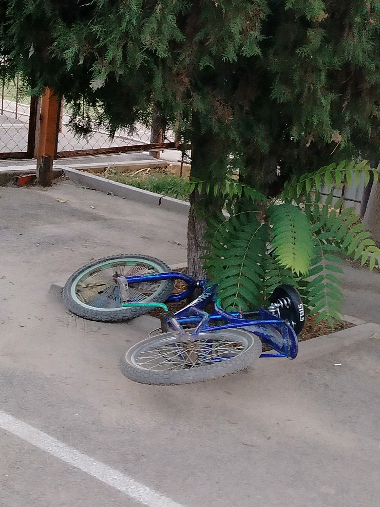 An abandoned blue bicycle lies on its side next to a tree on a paved area in the city of Kölkent, Kazakhstan. The bicycle's wheels are facing upwards and outwards. The front wheel is a spoked silver rim with a grey tire and a light green accent on the rim. The rear wheel is also a spoked silver rim with a grey tire, and a black brake disc is visible on the hub with the brand name "STELS" printed on it. The frame of the bicycle is blue, and parts of it are covered in a fine layer of dust. Green foliage from the tree hangs over the bicycle. The ground around the bicycle is a dusty concrete surface, with a white line painted on it in the foreground, indicating a parking space or roadway marking. In the background, a metal fence and a wooden post are visible, suggesting the area is an outdoor public space, possibly a park or a street. The lighting suggests it is daytime.