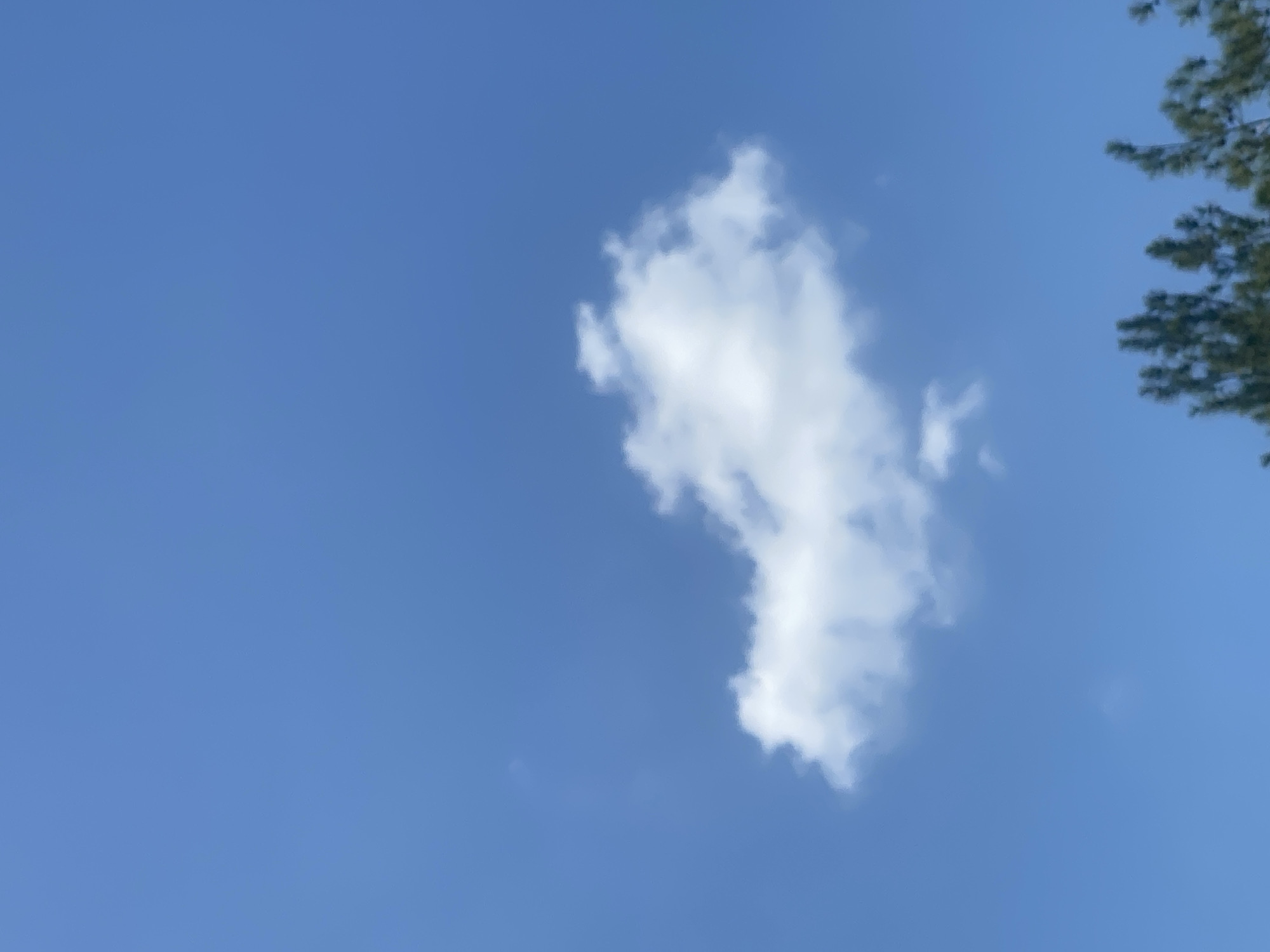 A single, small, cumulus cloud floats in a clear blue sky above the city of Banjarbaru, Indonesia. The cloud is white and puffy, with soft, rounded edges. In the lower part of the frame, the tops of several trees are visible, their dark green foliage contrasting with the bright sky. The scene is peaceful and serene, evoking a sense of calm and quiet.