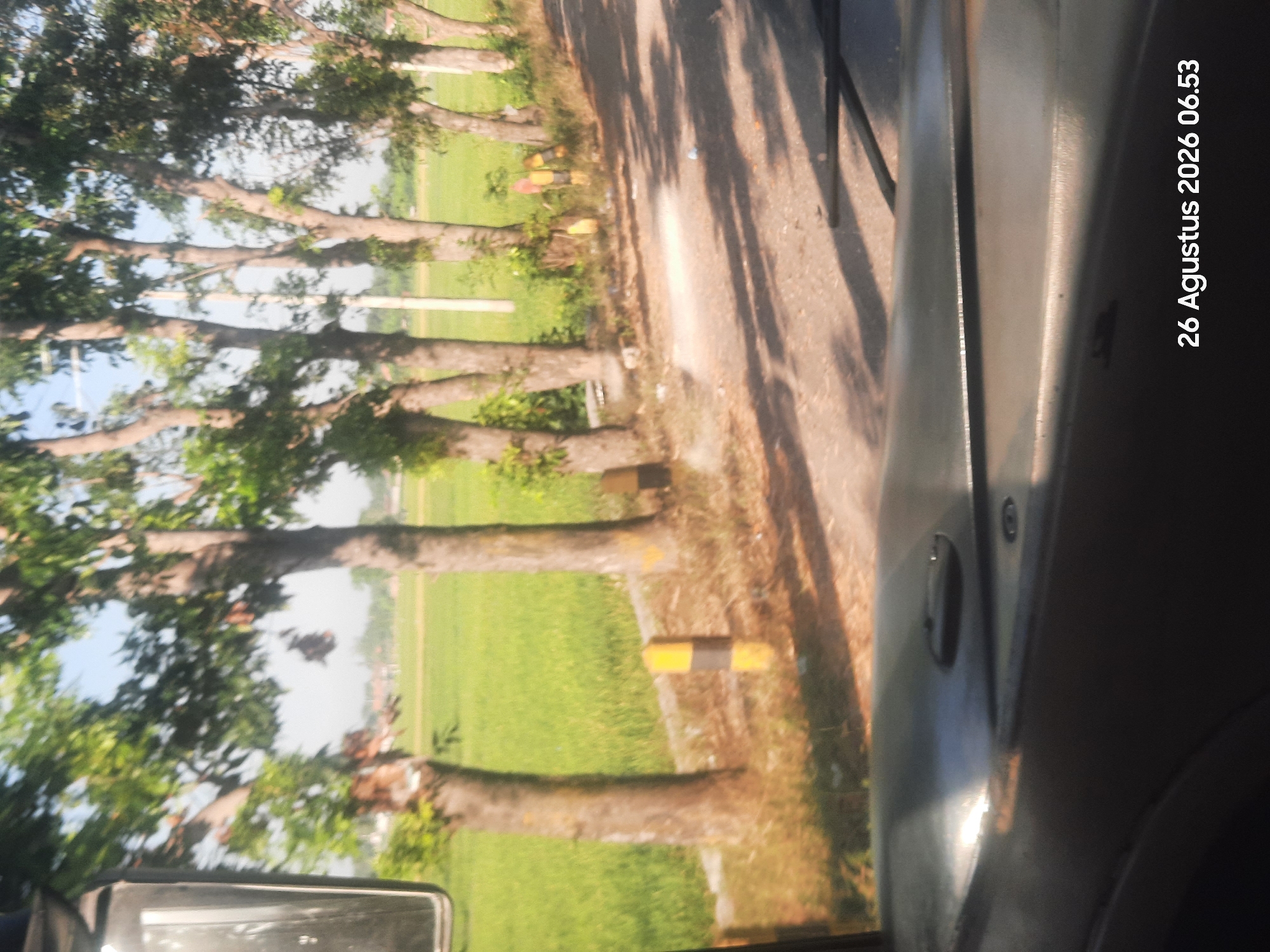 The image captures a roadside view from inside a vehicle, likely a truck or bus, looking out towards a rural landscape. The foreground shows the interior of the vehicle, with the dashboard area visible. A side mirror is positioned on the left side of the frame. Outside, a road runs parallel to a field of green crops, possibly rice paddies. Several trees line the edge of the road, with their trunks and branches casting shadows on the road surface. In the midground, there are yellow and black striped posts along the side of the road. The sky is clear and bright, suggesting it is daytime. In the lower right corner of the image, a timestamp reads "26 Agustus 2026 06.53", indicating the date and time the photograph was taken. The overall scene depicts a tranquil rural setting in Sukokerto, Indonesia.