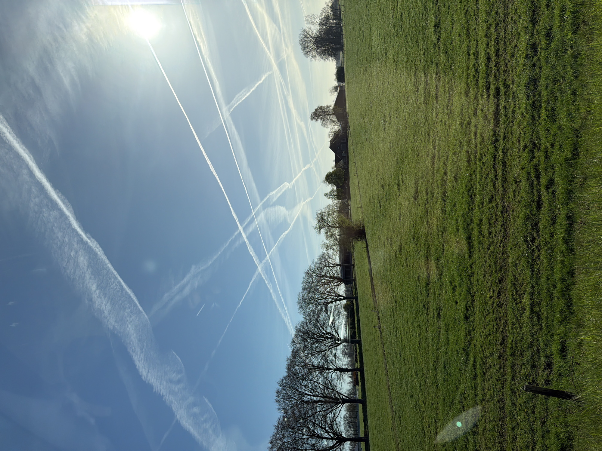 The image shows a sunny day with a blue sky crisscrossed by numerous contrails. To the right is a vibrant green field, while a line of bare trees separates the field from the sky. The location is Vaassen, Netherlands. In the background, the rooftops of buildings can be seen. A barbed wire fence runs along the edge of the field.