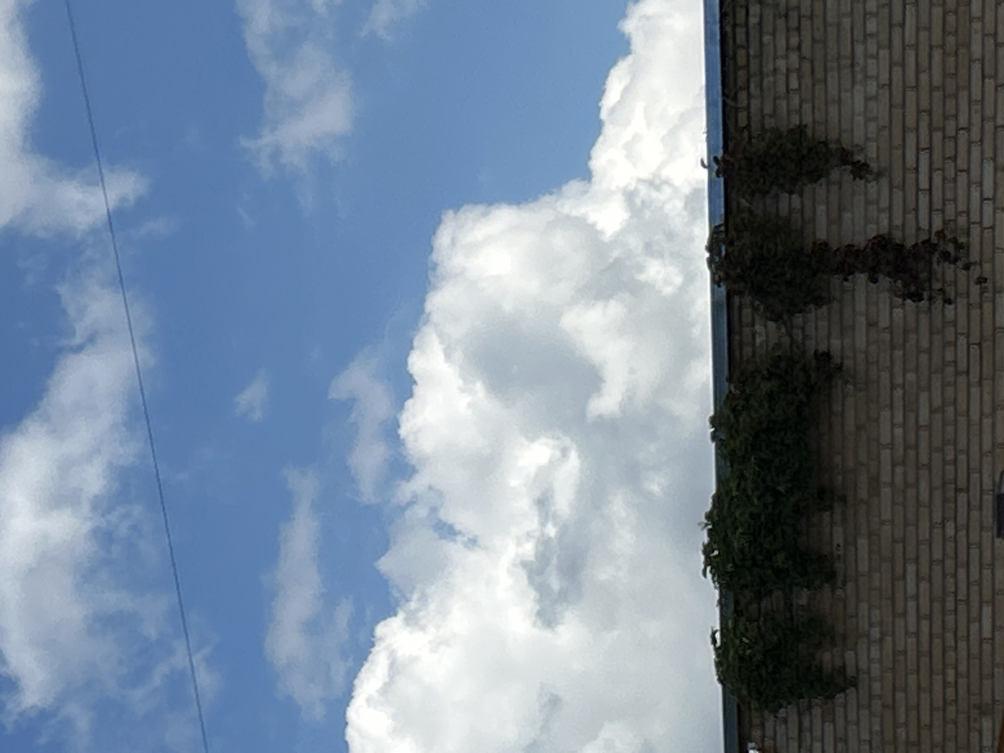 A wide shot captures a brick wall in Zelenograd, Russia, against a bright blue sky filled with fluffy white clouds and a thin horizontal line of what appears to be a power line. Green vines cascade over the top of the wall, some forming dense clusters, while others trail downwards in thinner strands. The brickwork is light tan, with darker mortar visible between the bricks. The wall is topped with a thin, dark band. The overall impression is one of an outdoor urban scene bathed in daylight.
