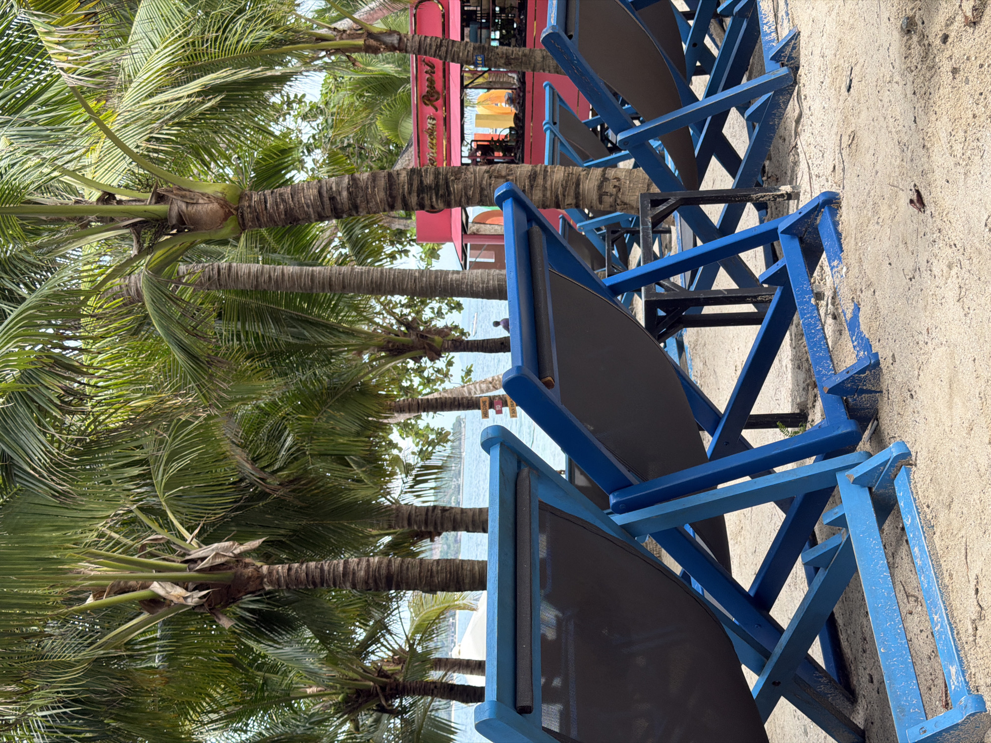 The original image, rotated 90 degrees clockwise, depicts a serene tropical beach landscape, likely oriented as if the viewer is on the sandy shore looking towards the ocean. In the foreground and midground, a series of blue-framed beach chairs with dark grey fabric seats are arranged on a sandy or gravelly ground, ready for use. These chairs are currently unoccupied.
To the left of the frame, several robust palm trees with verdant, sprawling fronds dominate the view, their textured trunks stretching upwards. Beyond the immediate beach area and through the gaps between the palm trees, a calm blue sea extends to the horizon. Distant land, possibly another shore or island, is faintly visible across the water.
In the midground, nestled behind the palm trees, a bright red building or structure is partially visible. White lettering on its side clearly spells out "Phunmuay Resort." A smaller, more distant sign in the background is too indistinct to read fully but appears to begin with "Welcome to".
The scene is illuminated by bright, clear daylight, suggesting a sunny day with excellent weather. There are no people visible in the frame, contributing to a sense of tranquility and an undisturbed natural environment. The setting evokes a peaceful vacation atmosphere at a resort, specifically located in Nam Nha Trang Ward, Vietnam.