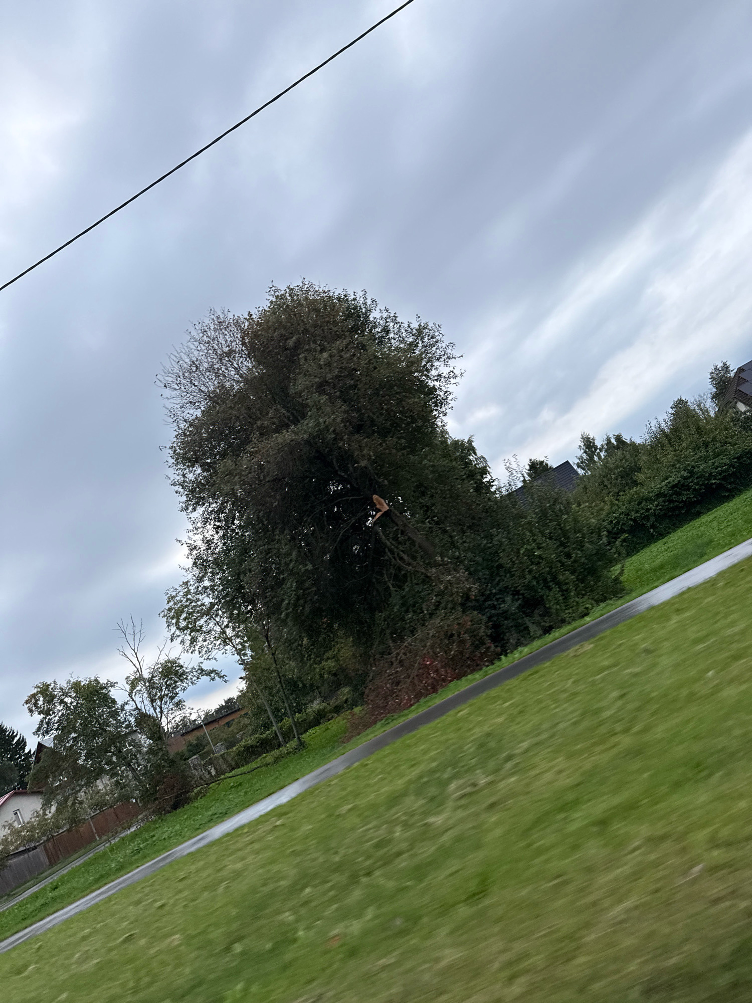 The image shows a tilted outdoor scene with a cloudy sky dominating the upper portion. A dark, diagonal line, likely a power line or cable, traverses the sky from the upper left to the lower right. Below the sky, a dense tree with dark green foliage stands prominently, with some bare branches visible. To the right of this large tree, more trees and bushes form a dense line. In the lower part of the image, a sloping grassy area is visible, appearing wet, suggesting recent rain. A paved path runs diagonally across the grass. In the background, houses with dark roofs and some fences are partially visible through the trees, indicating a suburban or residential area. The overall impression is of an overcast day in a green, semi-urban landscape. No specific landmarks of Tallinn, Estonia are identifiable in the image.