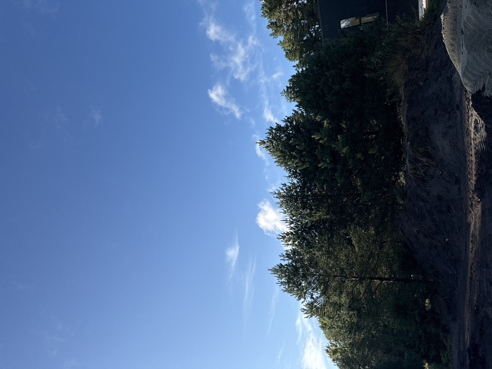 The image depicts a clear blue sky with sparse wispy clouds above a dense line of dark green coniferous trees. In the foreground, there are mounds of dark soil and a pile of light-colored sand, suggesting a construction or landscaping site. A dark modern building with a rectangular window is partially visible on the right side, nestled behind the trees. The location is identified as Harkujärve, Estonia.