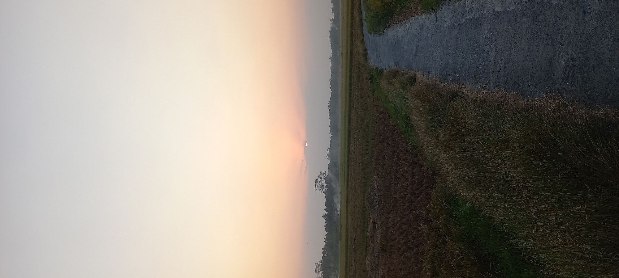 The image shows a rural scene at dusk in Sidamulya, Indonesia. A narrow, dark asphalt path curves from the lower right corner into the middle ground, bordered by dry, golden grass on the left and a harvested rice field on the right. The harvested field is a brown, stubbly expanse with some scattered dried vegetation. In the distance, a line of trees forms a dark silhouette against the hazy sky, with some structures and smoke visible among them. The sky itself is a gradient of pale yellow and orange near the horizon, transitioning to a light grey at the top. The sun is partially obscured by clouds on the horizon, casting a soft, diffused light. The overall impression is one of tranquility and the end of a day in the countryside.