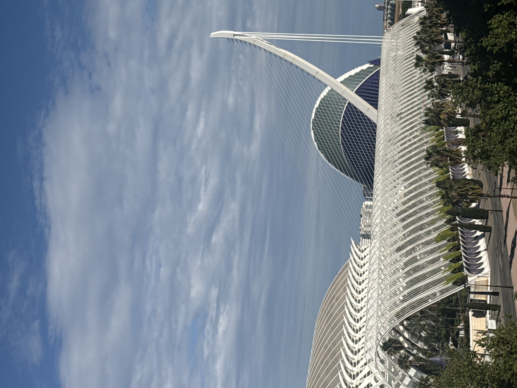 The image depicts the City of Arts and Sciences in Valencia, Spain. The buildings include: the L'Àgora, the Palau de les Arts Reina Sofía, the Hemisfèric, and the Pont de l'Assut de l'Or bridge. There are no people visible. The image is taken during the daytime, with a cloudy blue sky. The environment is urban, with trees and pathways lining the structures.