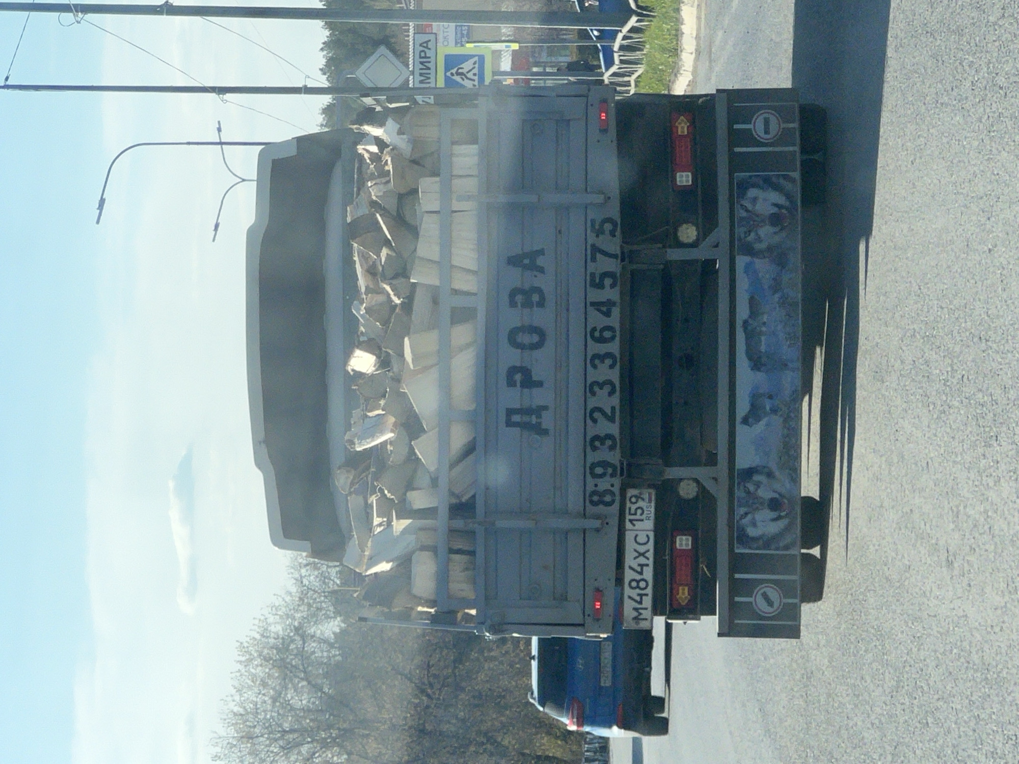A photograph shows the rear of a gray truck carrying firewood driving on a gray paved road. The truck has the word "ДРОВА" (firewood) and the phone number "8:9323364575" painted on the back. The license plate reads "M484XC 159 RUS." There is a sticker with a wolf image on the right rear of the truck. A blue car is partially visible behind the truck. Overhead wires and streetlights are visible. A sign that has "МИРА" (peace) in Russian is also visible. Bare trees are visible on the left of the image. The sky is blue. The photo appears to have been taken in Chaikovsky, Russia, based on the license plate code "159."
