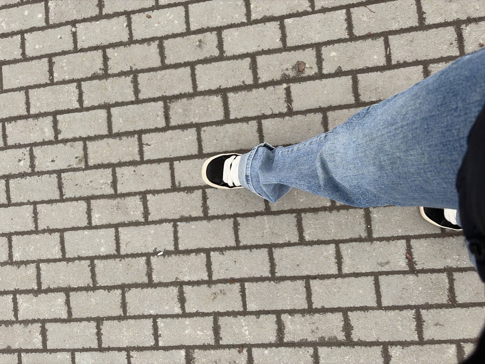 The image captures a first-person, downward-looking view of a person's leg and foot on a paved surface. The primary subject is a person's lower right leg, dressed in light blue denim jeans, and their foot wearing a black shoe with white laces and a white sole. The leg extends from the right side of the frame, with the foot positioned towards the bottom center-left.
The ground is paved with light grey, rectangular concrete bricks or pavers, laid in a stretcher bond pattern. Dark grout or dirt fills the spaces between the pavers, creating a distinct grid. The surface appears somewhat rough and textured, with some scattered small debris, possibly dried leaves or dirt specks. A few areas on the paving stones look slightly damp or discolored, suggesting recent moisture.
The perspective implies the person is walking or standing on a sidewalk or pathway. The lighting indicates it is daytime, likely overcast, as there are no sharp shadows. There is no discernible text visible in the image. The setting is a public outdoor space, consistent with the location context of Chaikovsky, Russia.