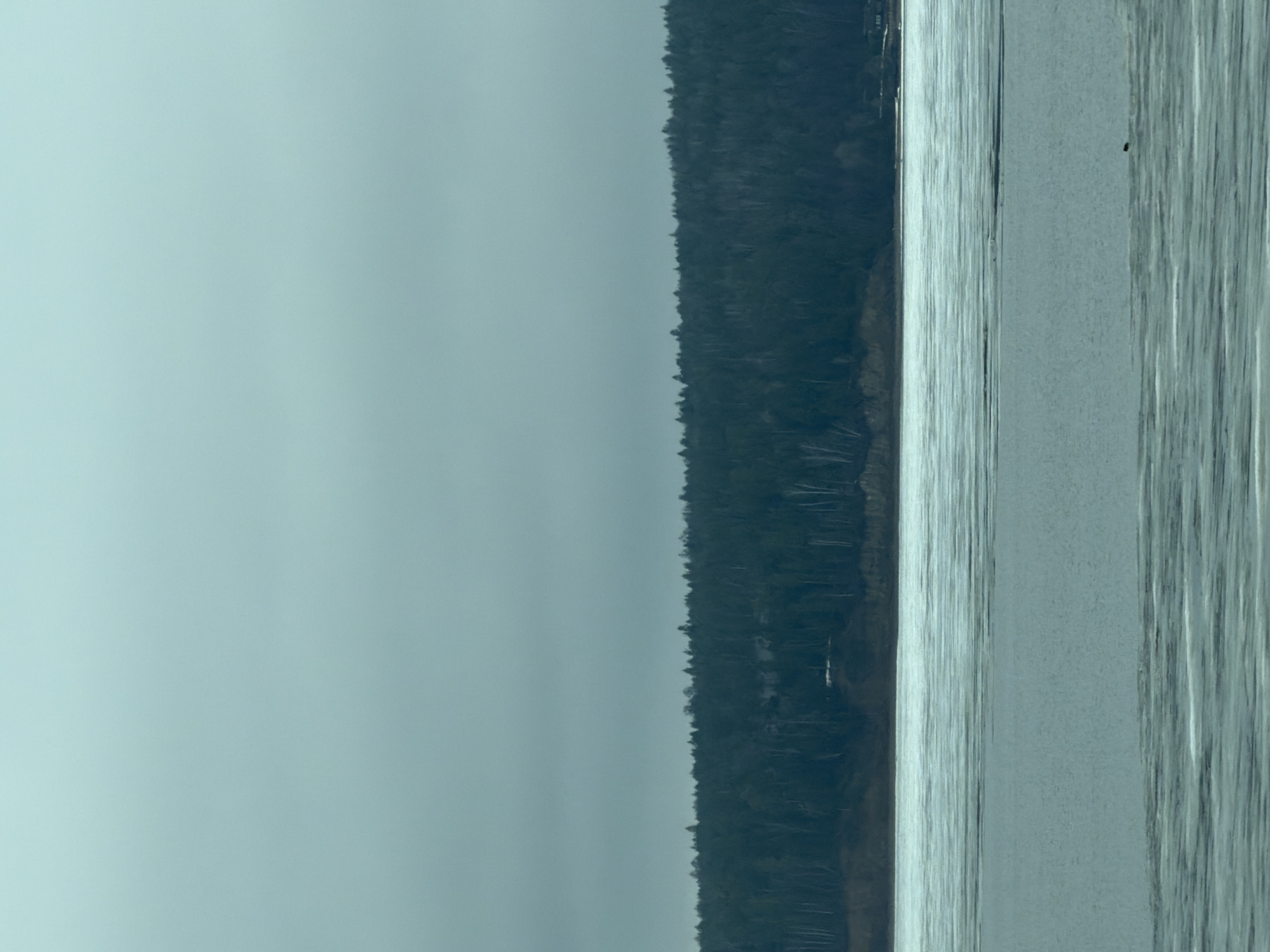The image depicts a body of water, likely a river or lake, adjacent to a forest. The sky is overcast and grey. The location appears to be near the city of Chaikovsky, Russia, based on the presence of forested areas and large bodies of water typical of the region. There is no indication of people in the image. A small dark object is visible near the water surface on the right side of the image.