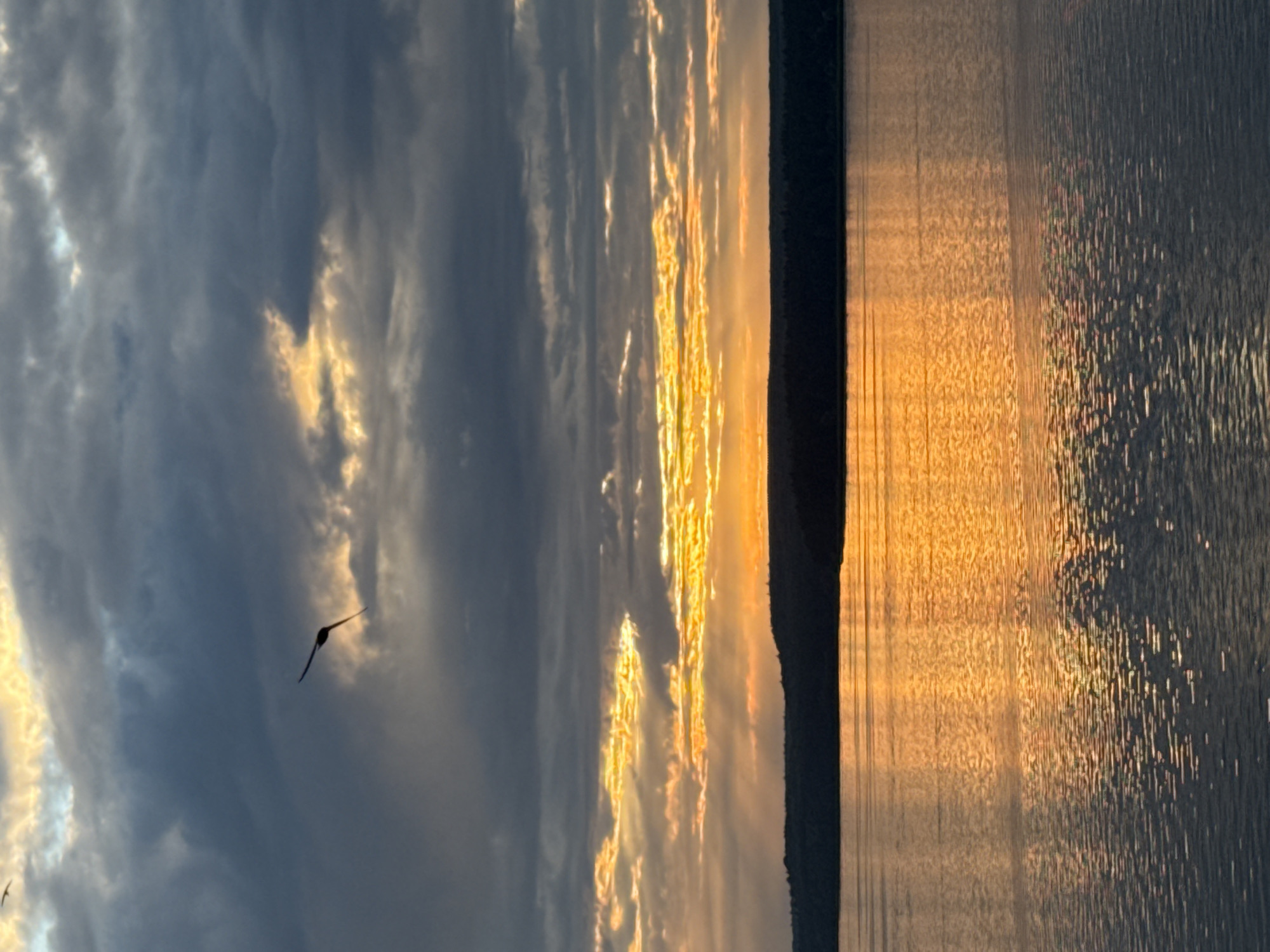 The image depicts a serene sunset over a body of water, likely a reservoir or large river, in Votkinsk, Russia. The sky is filled with dramatic, dark gray clouds interspersed with bright streaks of golden-orange light, indicating the sun is low on the horizon. A lone bird, silhouetted against the sky, is captured mid-flight in the upper left quadrant of the image. The water reflects the warm hues of the sunset, creating shimmering patterns on its surface. A dark, tree-lined horizon separates the sky from the water, hinting at the natural landscape surrounding Votkinsk. There are no people or man-made structures visible in the frame, emphasizing the natural beauty of the scene.