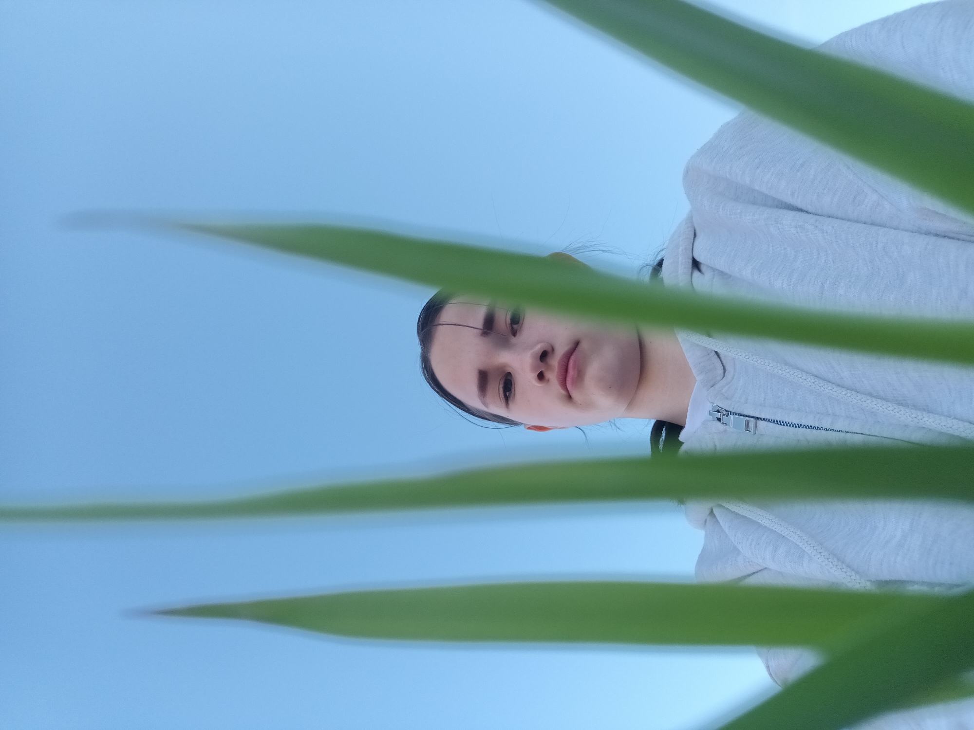 The image displays a young person, likely female, photographed from a low angle looking upwards, framed by out-of-focus green foliage. Her face is in the upper part of the image, turned slightly to her left, with a neutral and calm expression. She has dark hair, some strands visible around her face. She is wearing a light-colored (light grey or white) hooded sweatshirt with a prominent metal zipper on the front.
The background is a clear, vibrant blue sky, indicating an outdoor setting during daytime with fair weather. The green foliage, possibly leaves or blades of grass, appears blurred in the foreground, creating a layered effect across the frame. There is no specific activity depicted other than the subject looking towards the camera. No text is visible in the image. The location context is Ольховка, Russia.