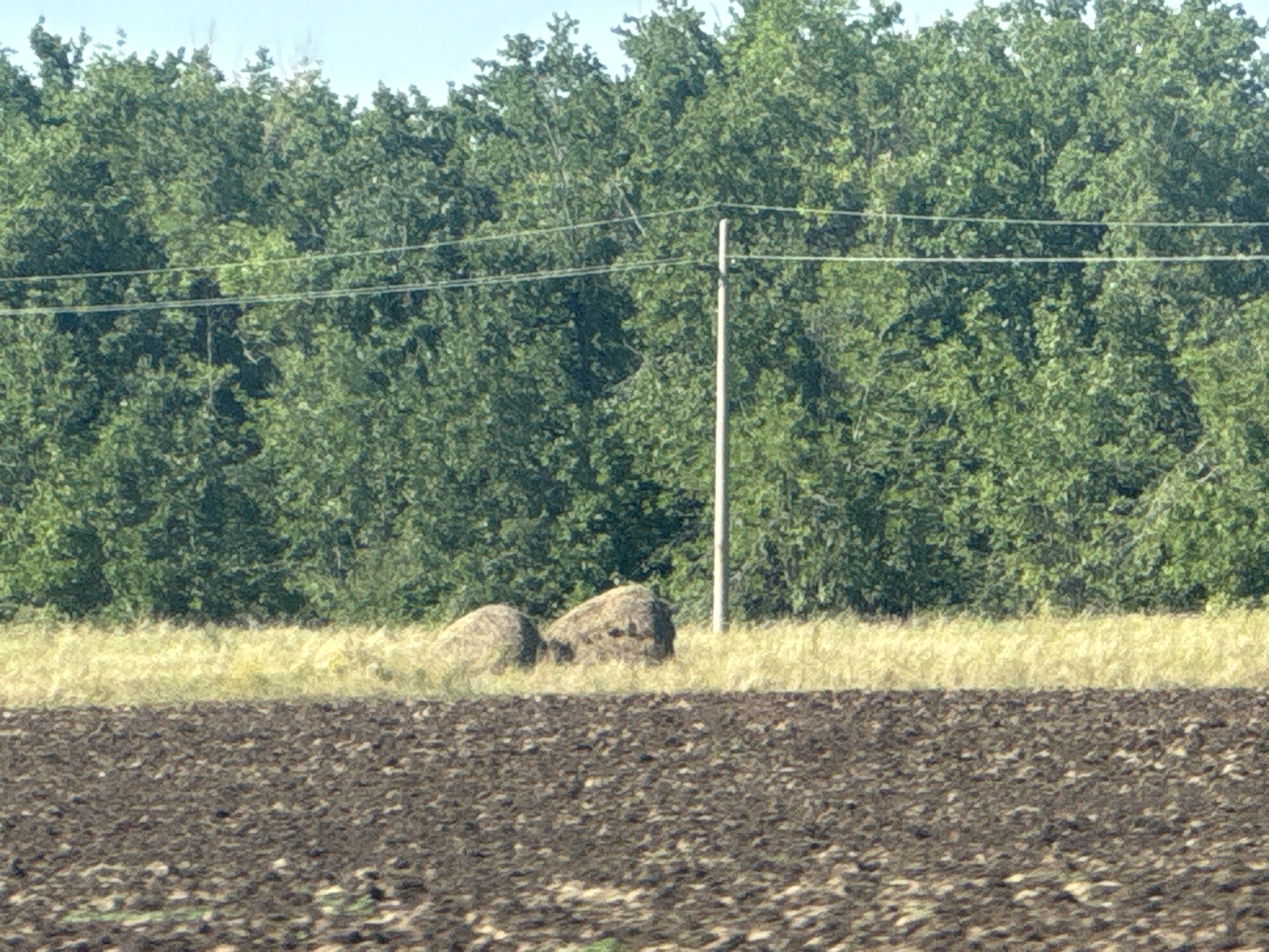 The image shows a pastoral scene with a plowed field in the foreground and a line of trees in the background. Two haystacks are visible in the middle ground, along with a utility pole. The sky is clear and blue. The image appears to have been taken on a sunny day. The location is the village of Donetskoe, Russia.