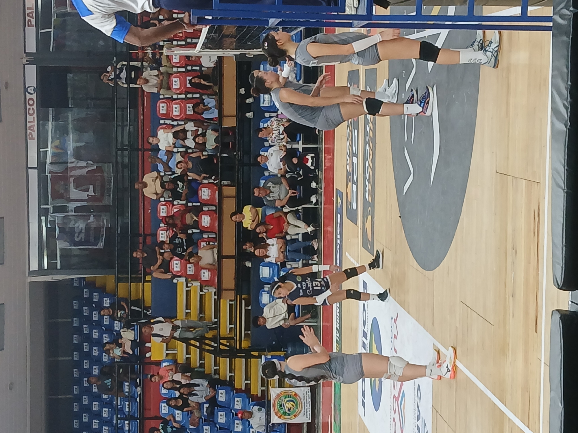 The image shows a volleyball match taking place in a gymnasium. Spectators are seated in multi-colored seats (blue, yellow, and red) watching the game. The gym is located in Ciudad Guayana, Venezuela. Four players are visible on the court. Two of them are in grey uniforms on the bottom of the image. The other player wears a blue and white uniform, number 13. The teams are lined up at the net. The court has various white line markings, sponsor logos, and a grey section near the back. A metal barrier is visible near the top of the image.