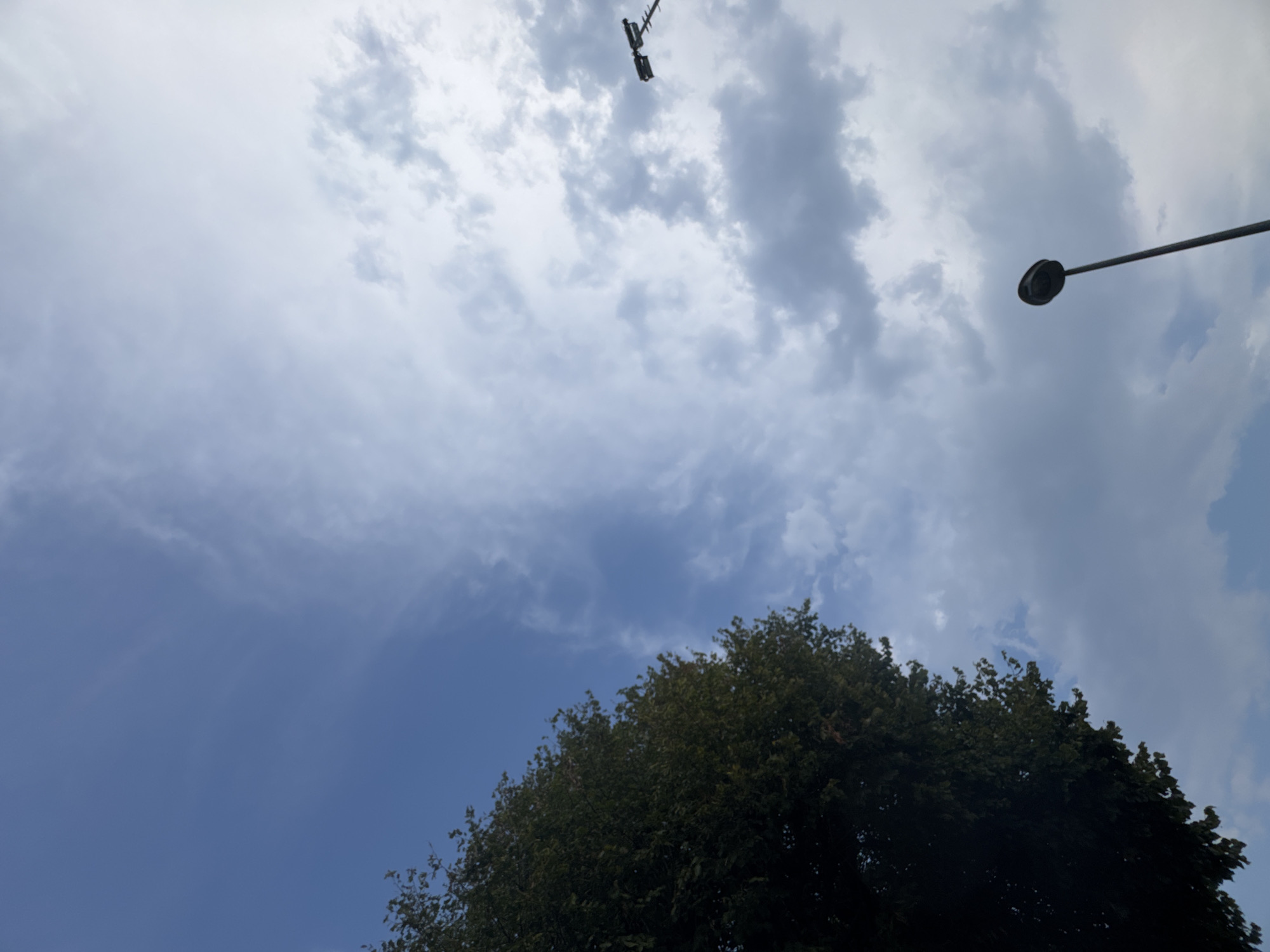 The image depicts a view of the sky with a large tree on the left and two lampposts in the distance. The sky is a mix of blue with scattered white and gray clouds, suggesting an overcast or partly cloudy day. The tree is full of dark green foliage and occupies the left portion of the frame, extending from the bottom upwards. One lamppost is visible in the upper right quadrant, appearing as a thin dark pole with a rectangular light fixture. A second, more prominent lamppost is situated in the lower right quadrant, characterized by a dark, curved light fixture atop a tall, slender pole. The scene appears to be an outdoor urban or suburban environment, potentially in Chiasso, Switzerland, given the context. There are no people or discernible actions taking place. The overall atmosphere is neutral and calm.