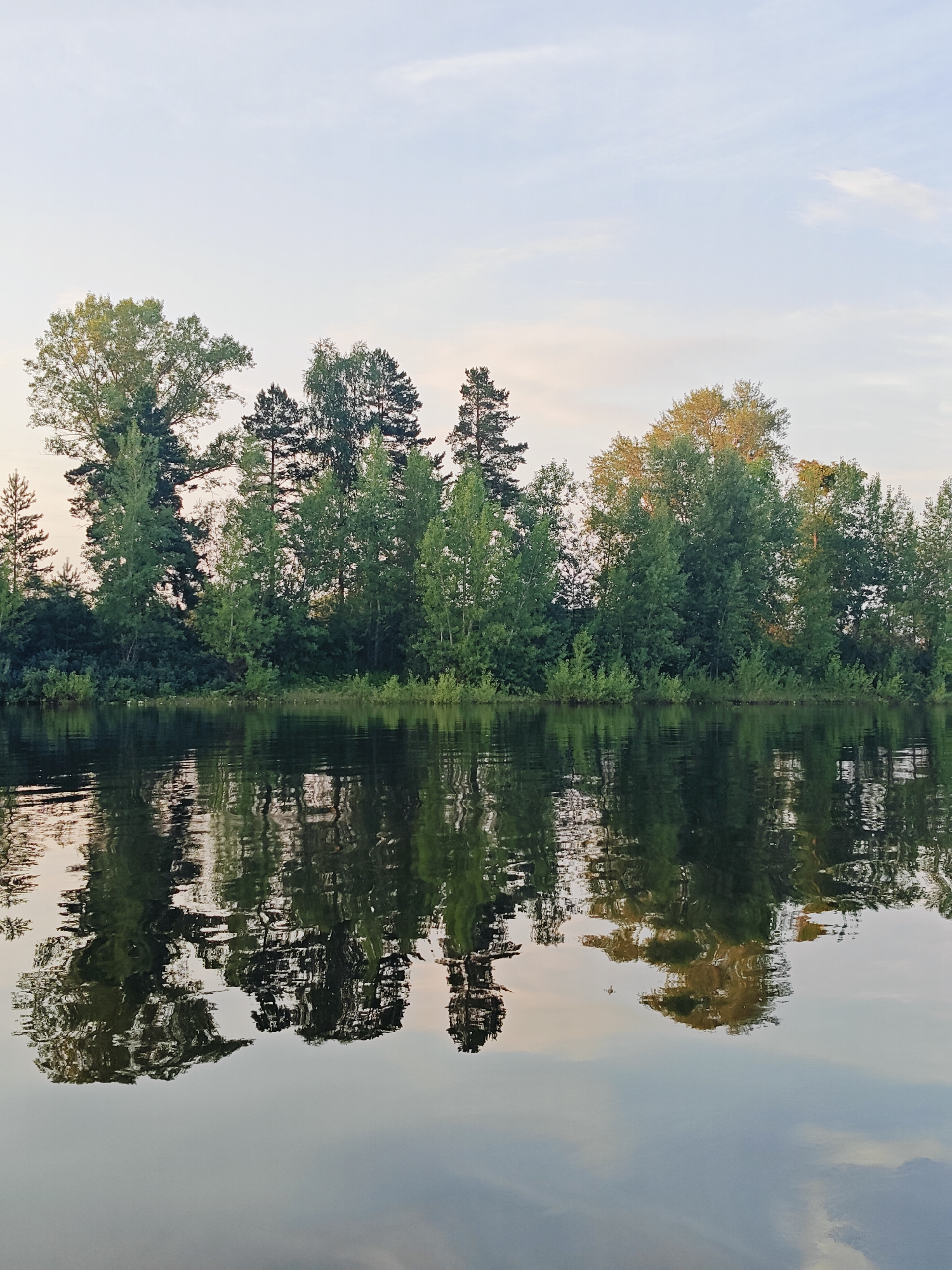 The image depicts a serene natural landscape with a body of water in the foreground and a dense line of trees along the horizon. The water's surface reflects the trees and the sky, creating a mirror image. The sky is a pale blue with wispy white clouds, suggesting it might be early morning or late evening. The trees are a mix of deciduous and coniferous varieties, with lush green foliage. The overall impression is one of tranquility and natural beauty, with no signs of human activity or urban development visible. This scene is consistent with the rural environment of Ol'khovskoye, Russia, known for its natural landscapes.
