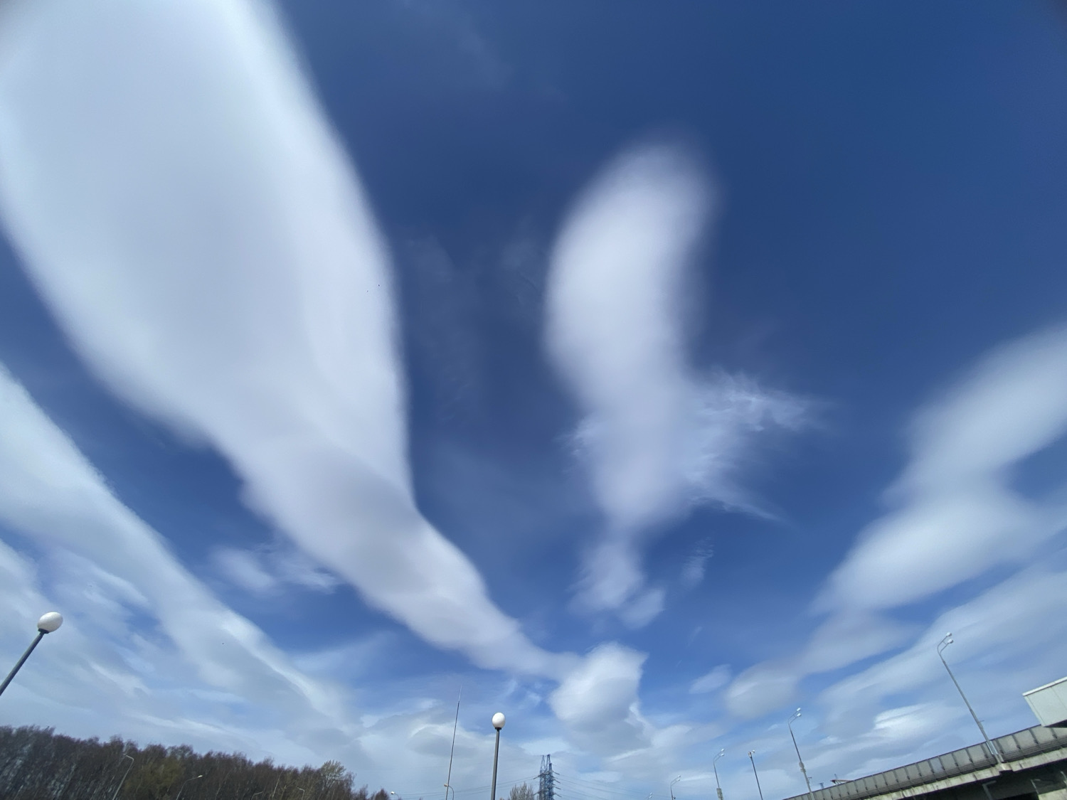 The image presents a vast, clear blue sky dominated by striking white cloud formations, set against an urban or suburban landscape, likely in Moscow, Russia. The scene depicts a bright, sunny day, though the sun itself is not directly visible.
The most prominent subjects are the clouds, which are highly elongated, streaky, and ribbon-like, stretching diagonally across the deep blue expanse. These formations vary in appearance; some are broad, smooth, and appear quite dense, particularly those on the left and upper-middle sections of the sky. Others are more fragmented and wispy, creating a dynamic visual effect that suggests strong atmospheric currents or high-altitude cloud types like cirrus or altocumulus. The unusual patterns of the clouds are a notable detail, giving the sky a unique and captivating texture.
Below the expansive sky, elements of human infrastructure and natural vegetation frame the lower portion of the image. On the left, a line of deciduous trees, mostly bare, suggests a cooler season. Several street lamps with tall dark poles and distinct white, spherical lights are visible, extending upwards. Towards the center-right, a dark, metallic power line tower is partially obscured, and further to the right, a section of a concrete overpass or highway structure with railings and additional streetlights can be seen.
No specific activity or event is taking place, and the image captures a static view of the sky and its surroundings. There is no visible text within the frame. The overall impression is one of a structured environment under a visually dramatic and expansive sky.