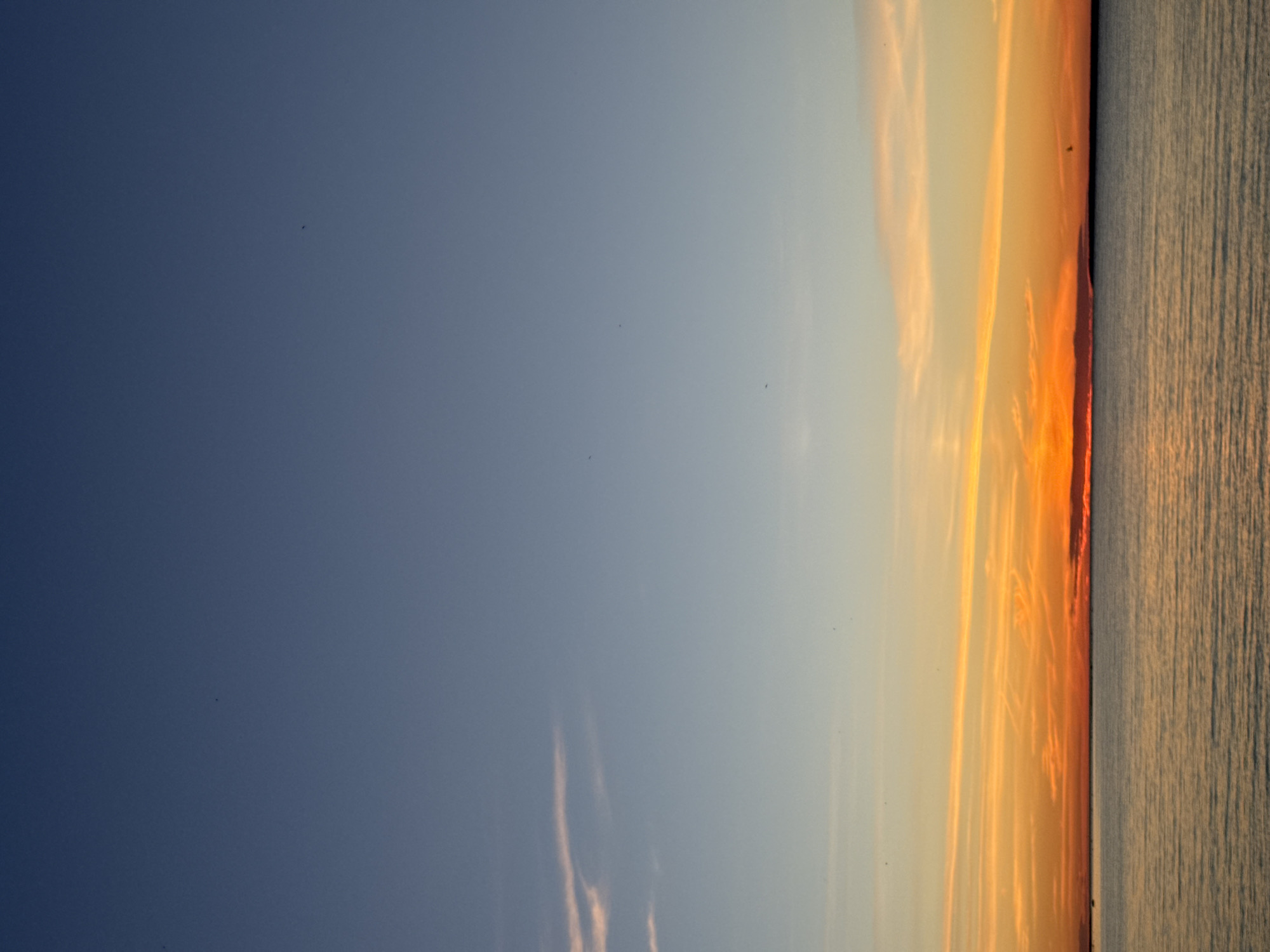 The image shows a panoramic view of the sea at sunset, with the horizon line clearly defined in the lower part of the frame. The sky transitions from a deep, clear blue at the top to a warm gradient of orange, yellow, and pale pink closer to the horizon. Wispy, thin clouds are scattered across the sky, catching the sunset light and appearing as delicate brushstrokes. The sea is calm, reflecting the colors of the sky with gentle ripples. In the distance, a dark, silhouetted landmass is barely visible along the horizon. There are a few very small, dark specks visible in the sky, which could be birds in flight. The overall scene evokes a sense of tranquility and natural beauty. The location is the sea coast of Tallinn, Estonia.
