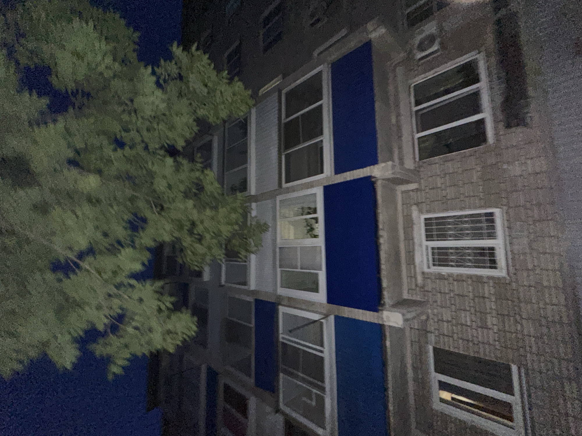 The image captures a nighttime view of a building's facade, predominantly featuring windows and sections of blue and gray paneling. A large, out-of-focus tree with green foliage dominates the left side of the frame, partially obscuring the building. The building itself appears to be an apartment complex or similar multi-story structure. Various windows are visible, some with blinds or shutters, reflecting faint light. An air conditioning unit is mounted high on the exterior wall. The scene is illuminated by artificial light sources, indicating it's after dark. There are no people or explicit activities depicted. The overall impression is urban and residential. The image is grainy due to low light conditions and the camera's likely high ISO setting. No text is visible in the image.
