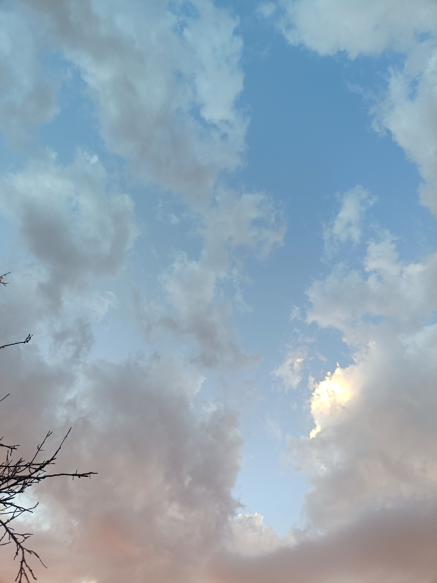 A sky filled with scattered clouds is shown, with a few dark tree branches silhouetted in the lower left corner. The clouds are varied in color, ranging from bright white to muted grays and pinkish hues, suggesting either the setting or rising sun. The sky itself is a pale blue. There are no people or discernible man-made objects in the image.