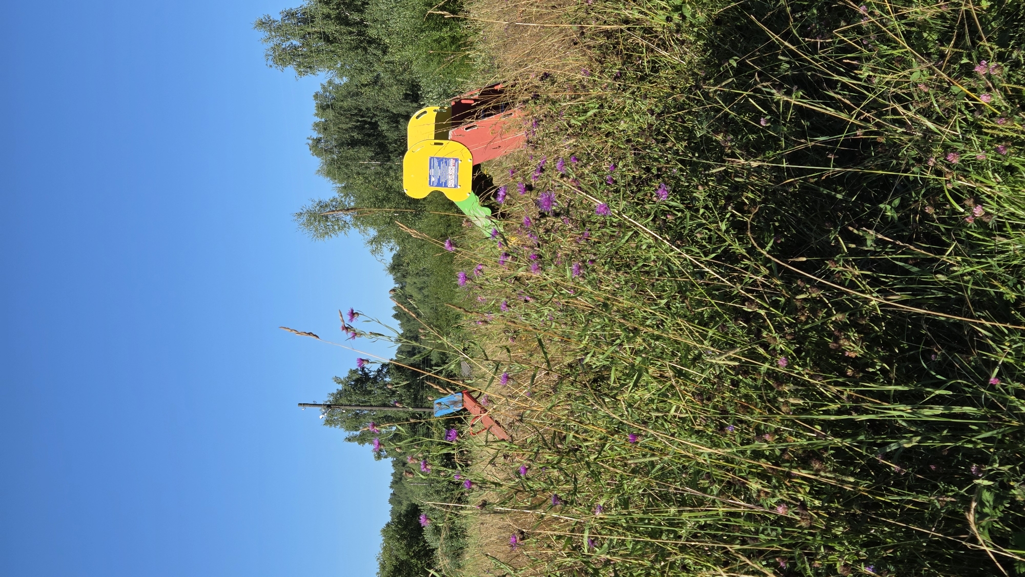A wide, vertical shot captures a bright, clear blue sky above a meadow filled with tall, dry grasses and scattered purple wildflowers. In the middle ground, partially obscured by the vegetation, are two pieces of children's playground equipment. To the left, a red and blue slide structure is visible, and to the right, a red and yellow slide with a green ramp. The background consists of a dense line of green trees under the blue sky. The scene appears to be a natural, overgrown area located in or near the city of Razdol'e, Russia, with the playground equipment suggesting a formerly maintained area that has since become wild. No people are present in the image.