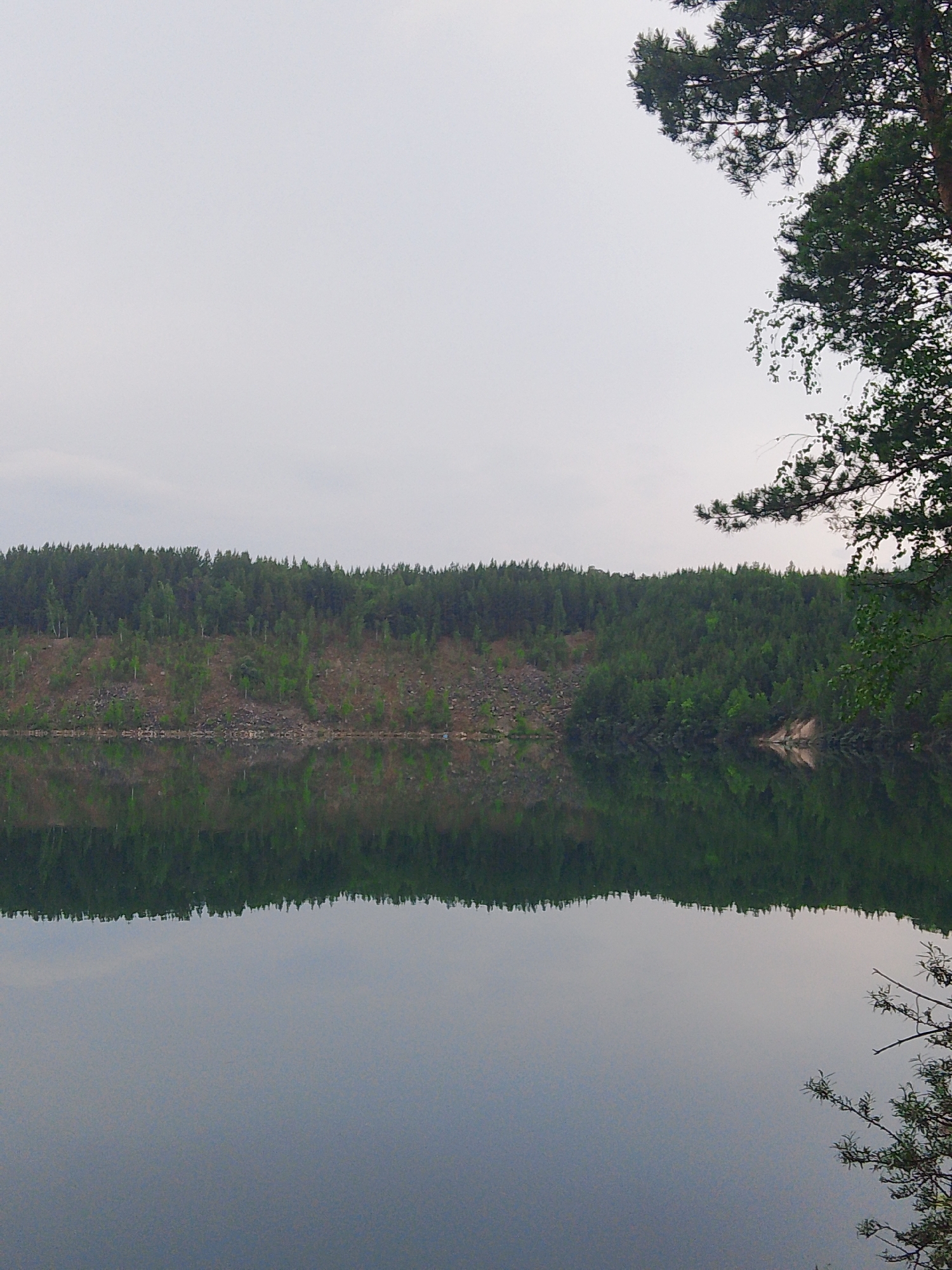 This media file captures a tranquil scene of a calm lake reflecting a forest-covered hillside. The sky is overcast, suggesting a cloudy or misty day, possibly in the late afternoon or early morning given the soft, diffused light. The distant shore is densely populated with a variety of trees, predominantly evergreens, with some deciduous trees showing lighter green foliage scattered throughout. The slope leading down to the water appears to be a mix of rocky terrain and sparse vegetation, indicating it might be a quarry or a naturally eroded hillside.
A prominent pine tree branch extends into the frame from the upper right corner, its dark green needles contrasting with the lighter hues of the sky and foliage. The water surface is remarkably still, creating a near-perfect mirror image of the landscape above. The reflection shows the treeline and the rocky slope in vivid detail, with the colors appearing slightly muted due to the water. The lower portion of the image is dominated by the calm, gray expanse of the water, with only subtle ripples suggesting depth. The overall atmosphere is serene and peaceful, evoking a sense of quietude and natural beauty. No people or specific objects are visible, emphasizing the raw, untouched aspect of the location. There is no visible text in the image. The scene is consistent with a natural setting in a place like Malysheva, Russia, known for its forests and lakes.
