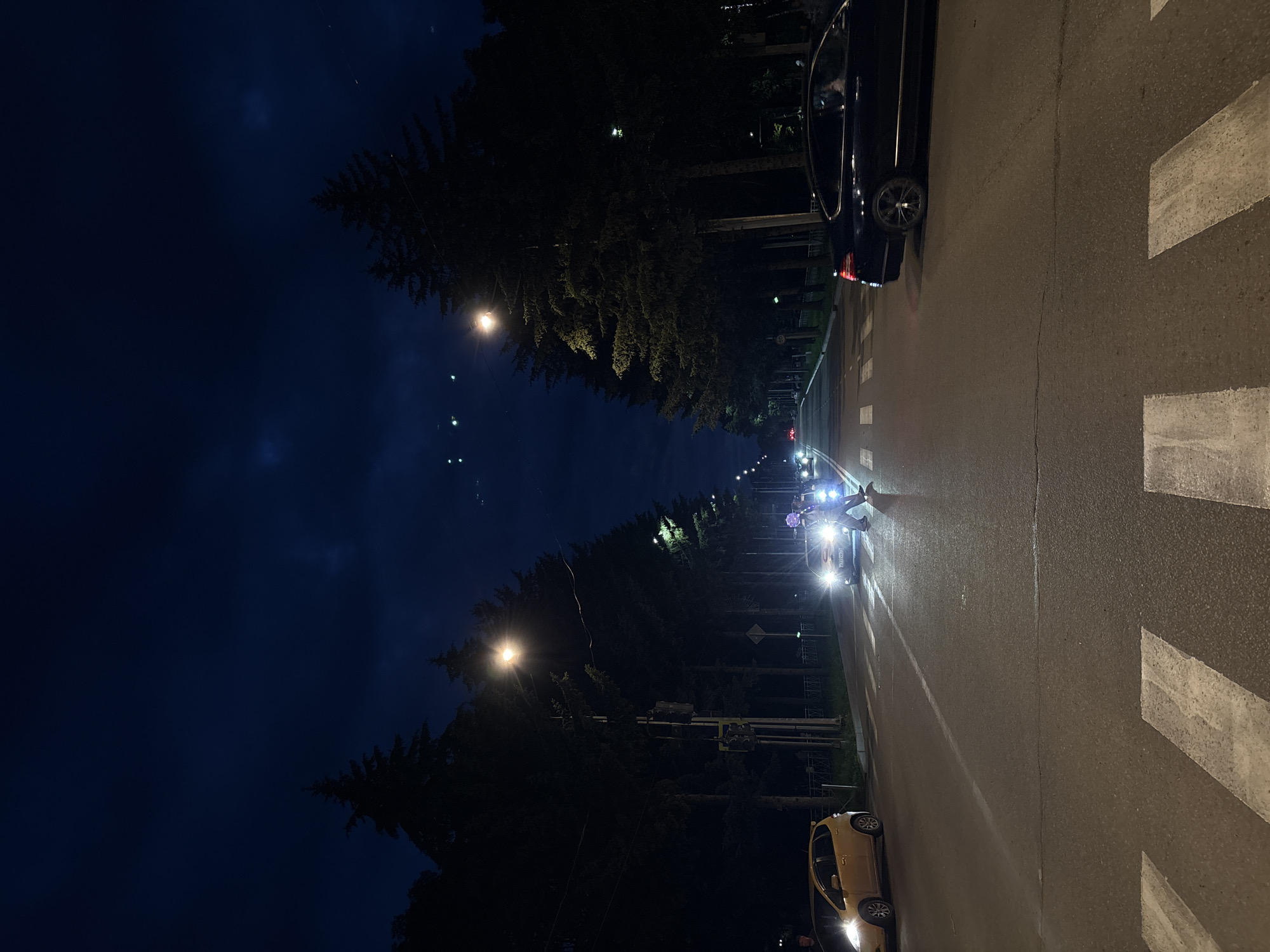 This is a night-time, low-angle, vertical, full-shot photograph of a street in Birobidzhan, Russia. The street is lined with tall, dark green coniferous trees on both sides, with streetlights casting pools of yellow and white light. The sky above is a deep, dark blue, with hints of scattered clouds and faint celestial bodies visible.
In the foreground, a pedestrian crosswalk is marked with white stripes on the dark asphalt road. A yellow car is parked on the left side of the road, facing away from the viewer. Further down the road, on the right side, a black sedan is driving away from the viewer.
In the middle ground, a person, appearing to be a pedestrian, is crossing the street from right to left. They are illuminated by the headlights of approaching vehicles. A white car with its headlights on is stopped in the lanes of traffic, presumably yielding to the pedestrian. Further down the road, several other vehicles with their headlights illuminated are visible, creating streaks of light. Traffic signals and utility poles are present along the roadside, with wires strung between them. The overall scene depicts a quiet, urban street at night with moderate traffic and pedestrian activity.