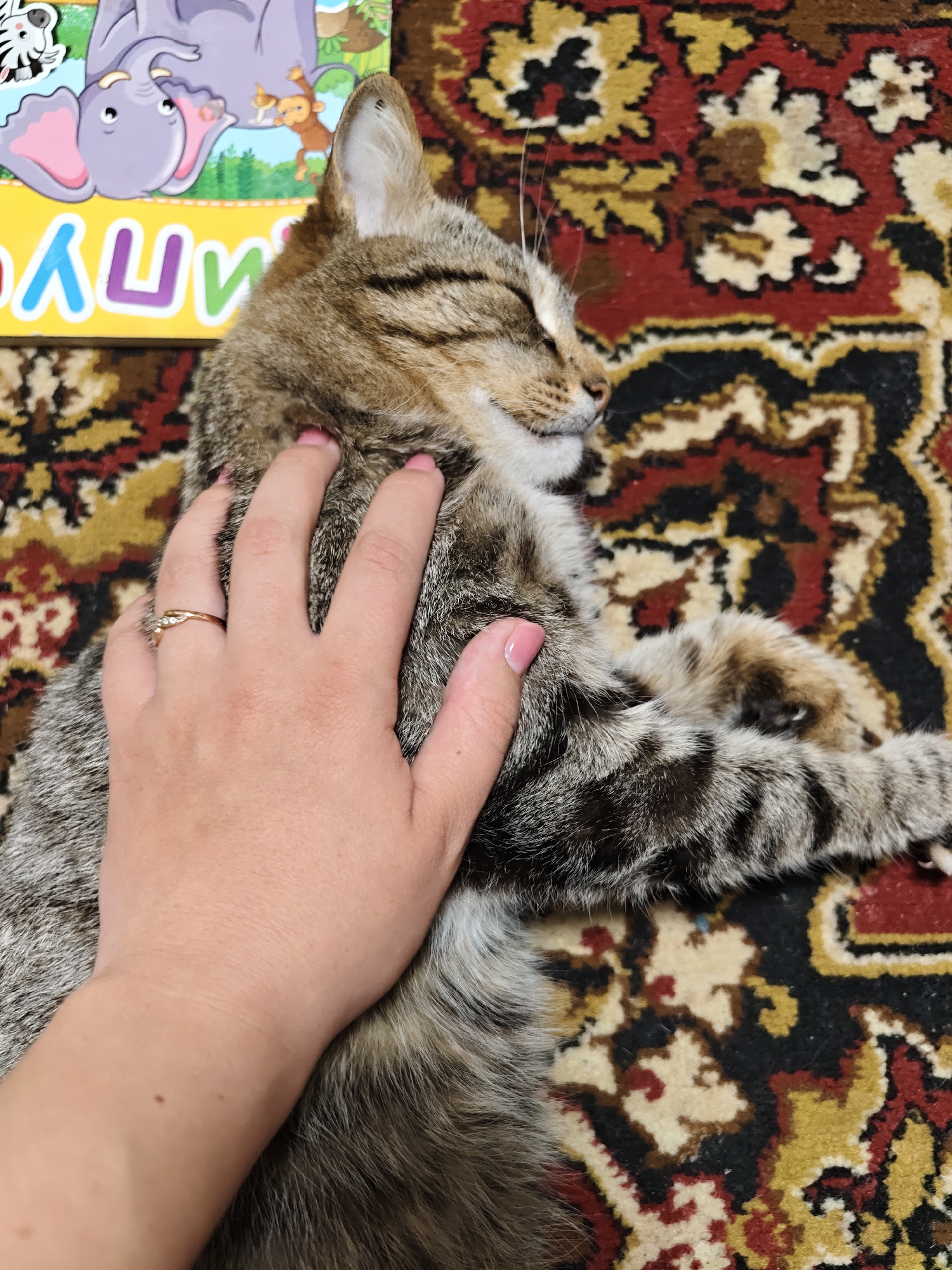 A human hand gently pets a sleeping tabby cat, which appears peaceful and content with its eyes closed. The cat's fur is a mix of light brown and grey with dark stripes. The human hand, likely female, has pink nail polish and wears a gold-colored ring adorned with small clear stones on the ring finger.
The subjects are positioned on a traditional patterned rug, predominantly red, black, gold/yellow, and cream, suggesting an indoor home setting. Partially visible next to the cat's head is a yellow children's book or board. It features colorful cartoon illustrations of an elephant, a monkey, and a zebra. Visible text on the book shows the Russian letters "АЦЛУИ" in various bright colors (blue, green, purple). The scene captures a quiet, intimate moment between a pet and its owner, characteristic of a relaxed atmosphere in a home in Уральское, Russia.
