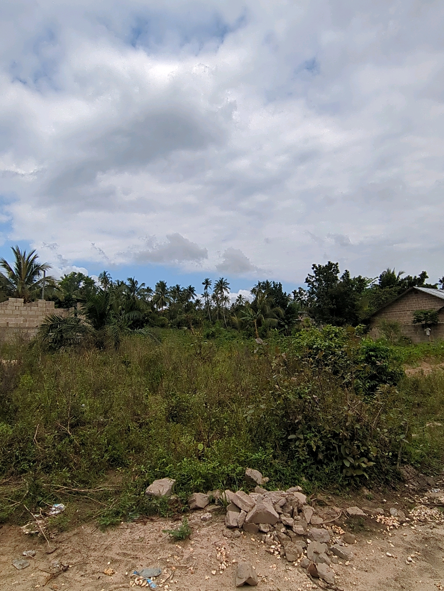 The image depicts an outdoor scene in a tropical environment, likely in the city of Mangwapani, Tanzania. The foreground is dominated by dry, sandy ground littered with small stones and debris, including some plastic waste. A pile of broken concrete blocks sits on the ground. The middle ground features a dense area of overgrown vegetation, characterized by various green plants and shrubs. Further back, a partially constructed building made of cinder blocks is visible on the left, with palm trees surrounding it. To the right, a single-story building with a corrugated metal roof and cinder block walls is present, partially obscured by trees. The background is filled with a dense arrangement of palm trees and other lush green foliage, suggesting a rural or semi-rural setting. The sky above is partly cloudy, with dramatic grey and white clouds against a blue sky. There are no people visible in the image.