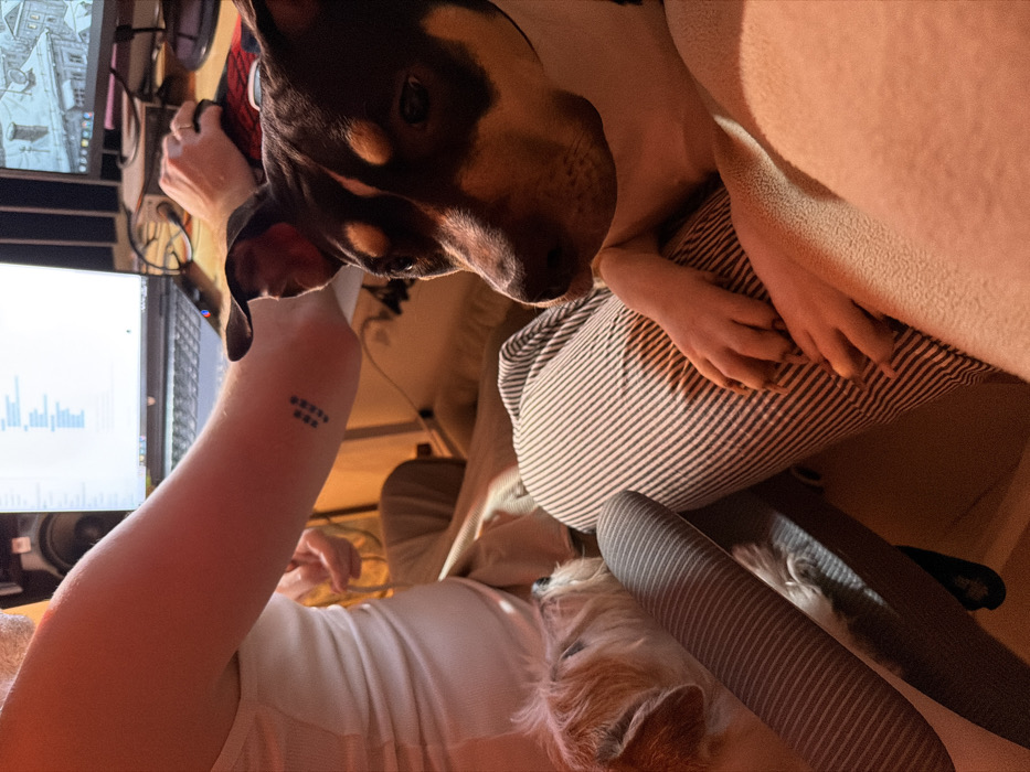 An individual lies reclined near a desk with two monitors displaying data, with a tattoo visible on their arm. A large dog with dark and light brown fur hovers close, while a smaller, fluffy dog rests nearby. The person's hands are clasped together on a striped pillow or cushion. The scene is bathed in warm, possibly artificial, lighting.