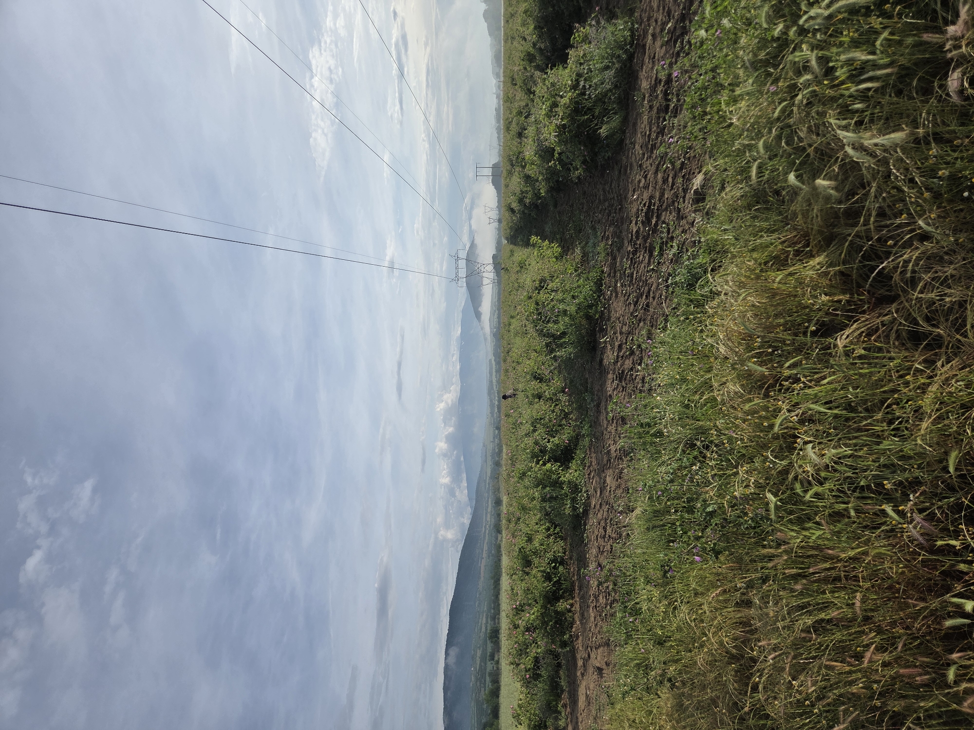 The image depicts a landscape near Ivan Vazovo, Bulgaria, characterized by a dirt path separating a field of tall grass and vegetation on the right from what appears to be open land or a valley on the left. Overhead power lines stretch across the sky, supported by metal towers in the distance. Mountains are visible in the background, partially obscured by clouds or haze. The sky is partly cloudy.