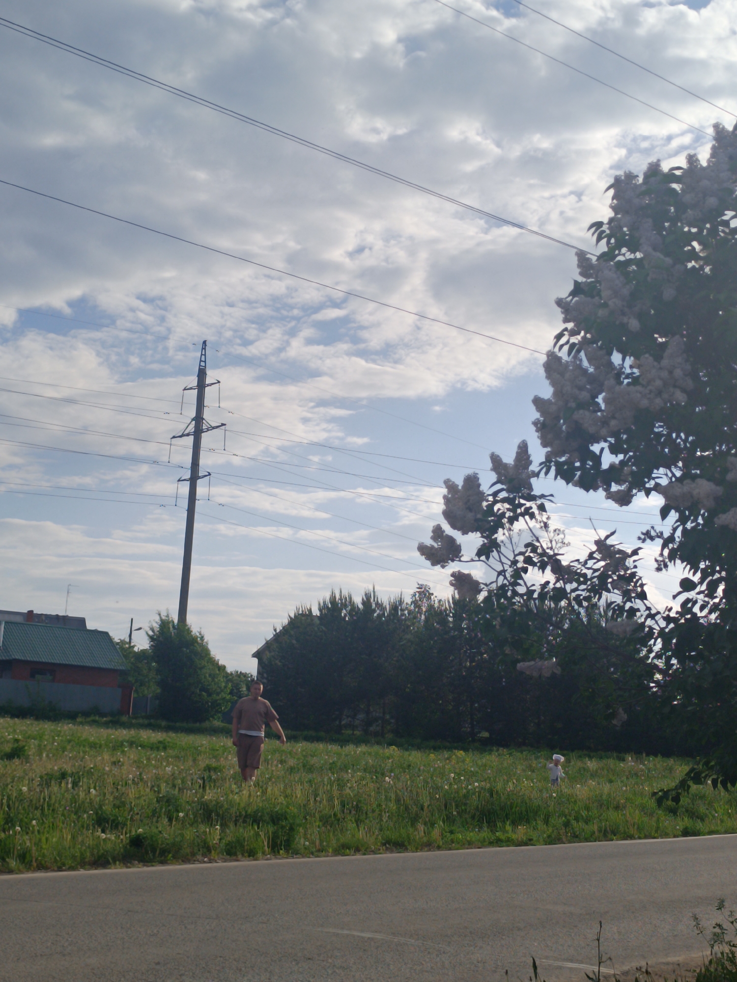 The image depicts a roadside scene in Zav'yalovo, Russia, with a man and a child in a field. The man, dressed in a brown t-shirt and shorts, is walking through the field. A child, wearing light-colored clothing and what appears to be a hat, is standing in the field further away. The field is overgrown with grass and dandelions. A paved road runs along the foreground. Beyond the field are trees and houses. A utility pole with power lines is visible against a backdrop of cloudy sky. Lilac bush is blooming in the right side of the picture.