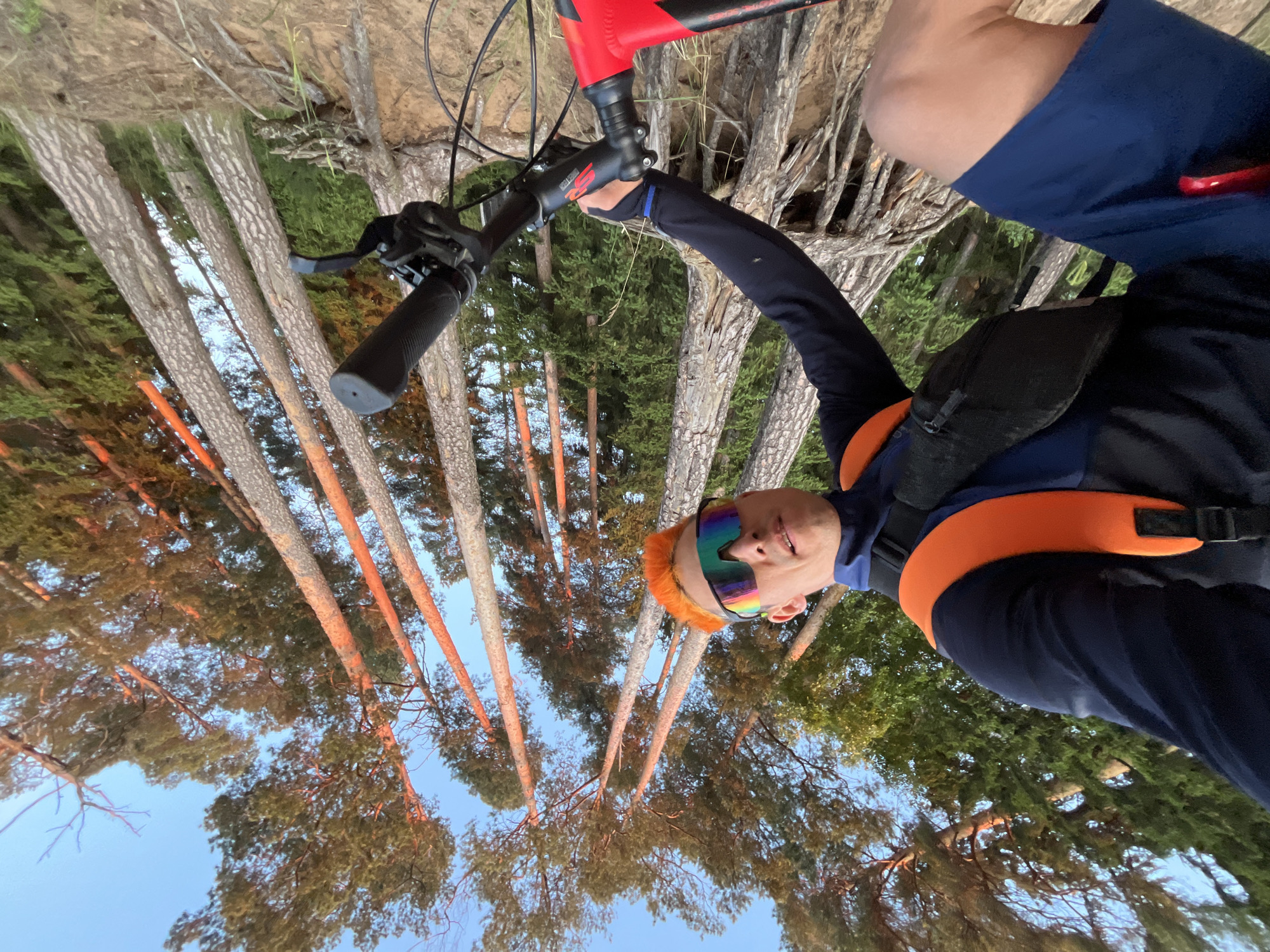 The image displays a low-angle, first-person perspective of an individual on a bicycle in Chaikovsky, Russia, surrounded by tall pine trees. The subject, appearing male, is positioned in the foreground, facing the camera. He has bright orange hair and wears large, reflective, rainbow-tinted sports sunglasses, a dark blue long-sleeved athletic shirt, dark blue shorts, and an orange and black hydration vest with a front buckle. His right hand is visible, gripping the black handlebar of a red and black bicycle. The bicycle's stem bears an "SR SUNTOUR" logo. In the background, numerous towering pine trees with light-colored, textured trunks dominate the scene. The lower trunks of some trees exhibit extensive exposed root systems, suggesting an eroded or uneven sandy/earthen bank. The upper portions of the tree trunks are bathed in a warm, reddish-orange light from a low-angle sun, contrasting with the clear, light blue sky visible between the tree canopies. Sparse green foliage is visible among the trees.