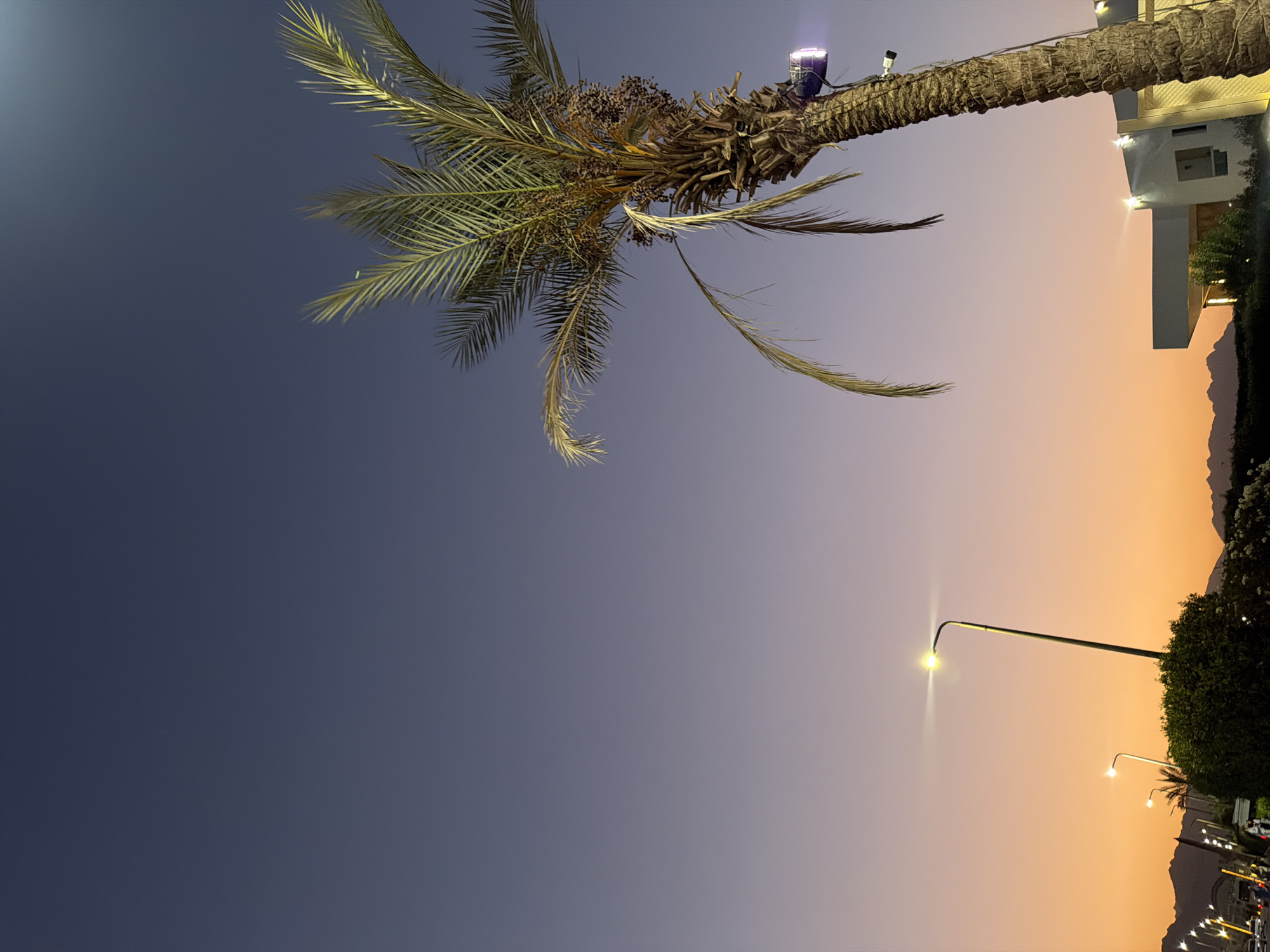 The image depicts a twilight scene in Sharm El Sheikh, Egypt. A tall palm tree dominates the right side of the frame, its fronds illuminated by an artificial light source attached to its trunk. In the background, a modern white building with illuminated windows is visible. The sky transitions from a deep blue at the top to a warm orange hue near the horizon, where silhouetted mountains form the distant landscape. Streetlights and a cluster of bushes are present in the lower left portion of the image, suggesting an urban or roadside environment. No people are clearly visible in the frame.